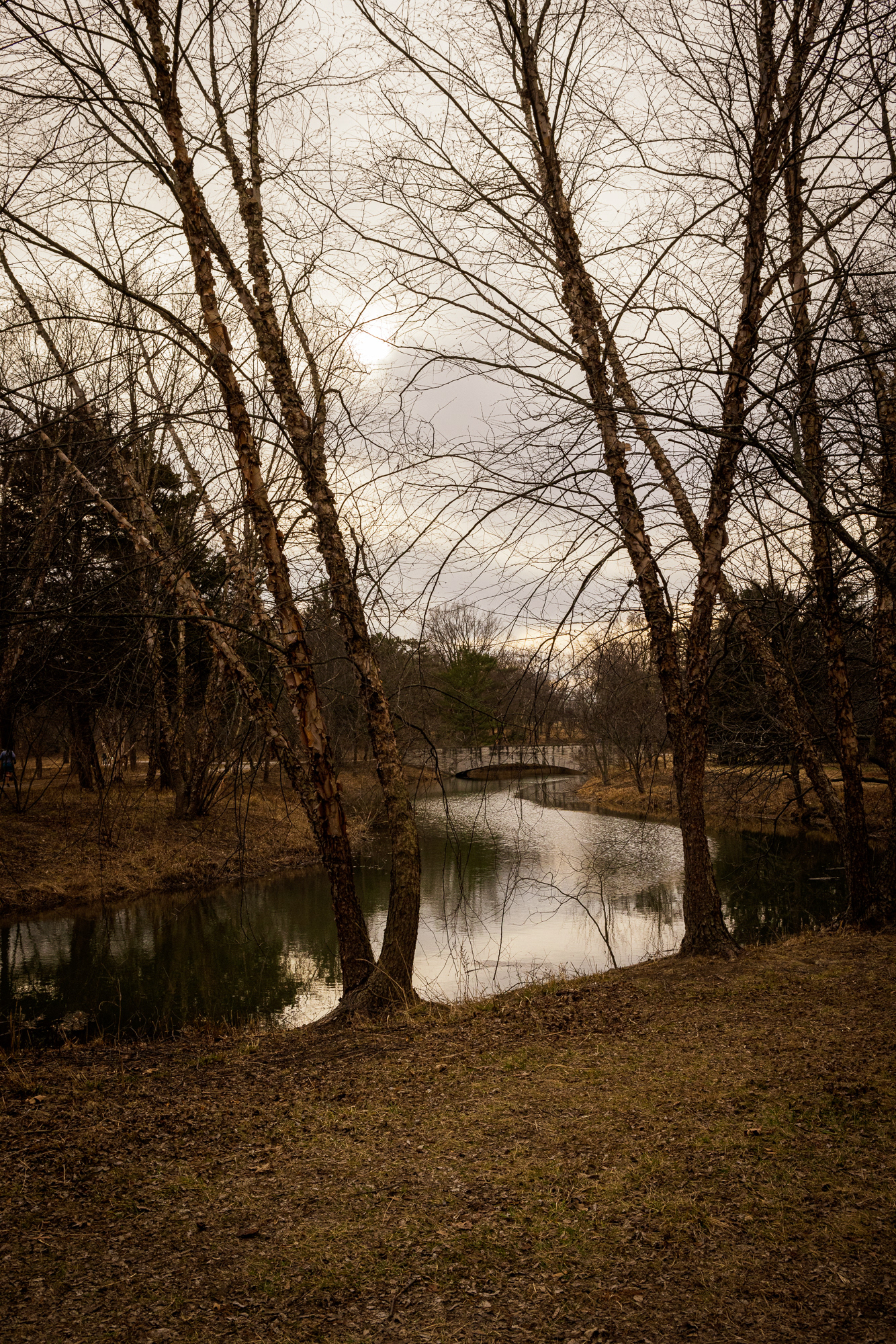 Forest Park