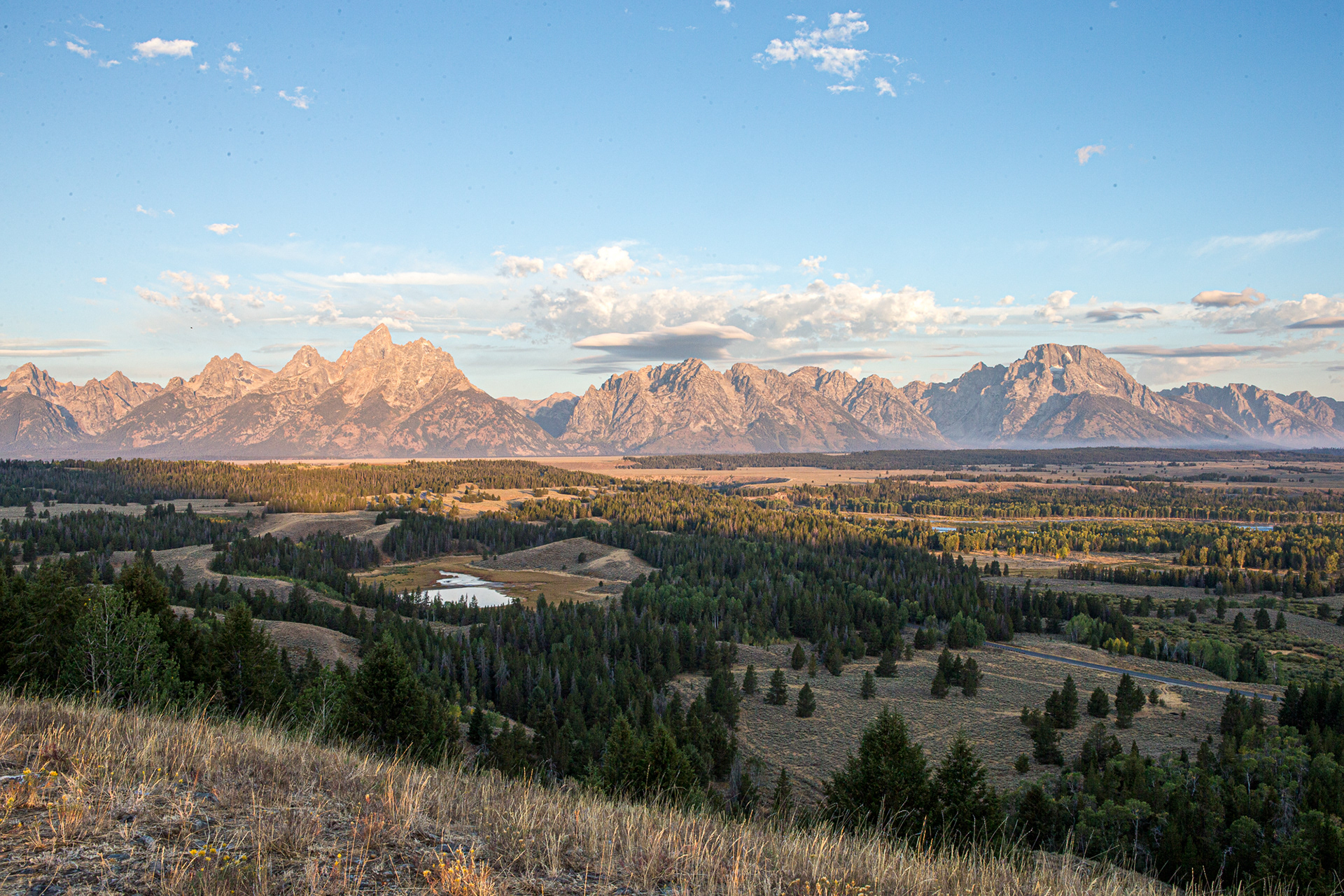 Hedrick Pond Overlook