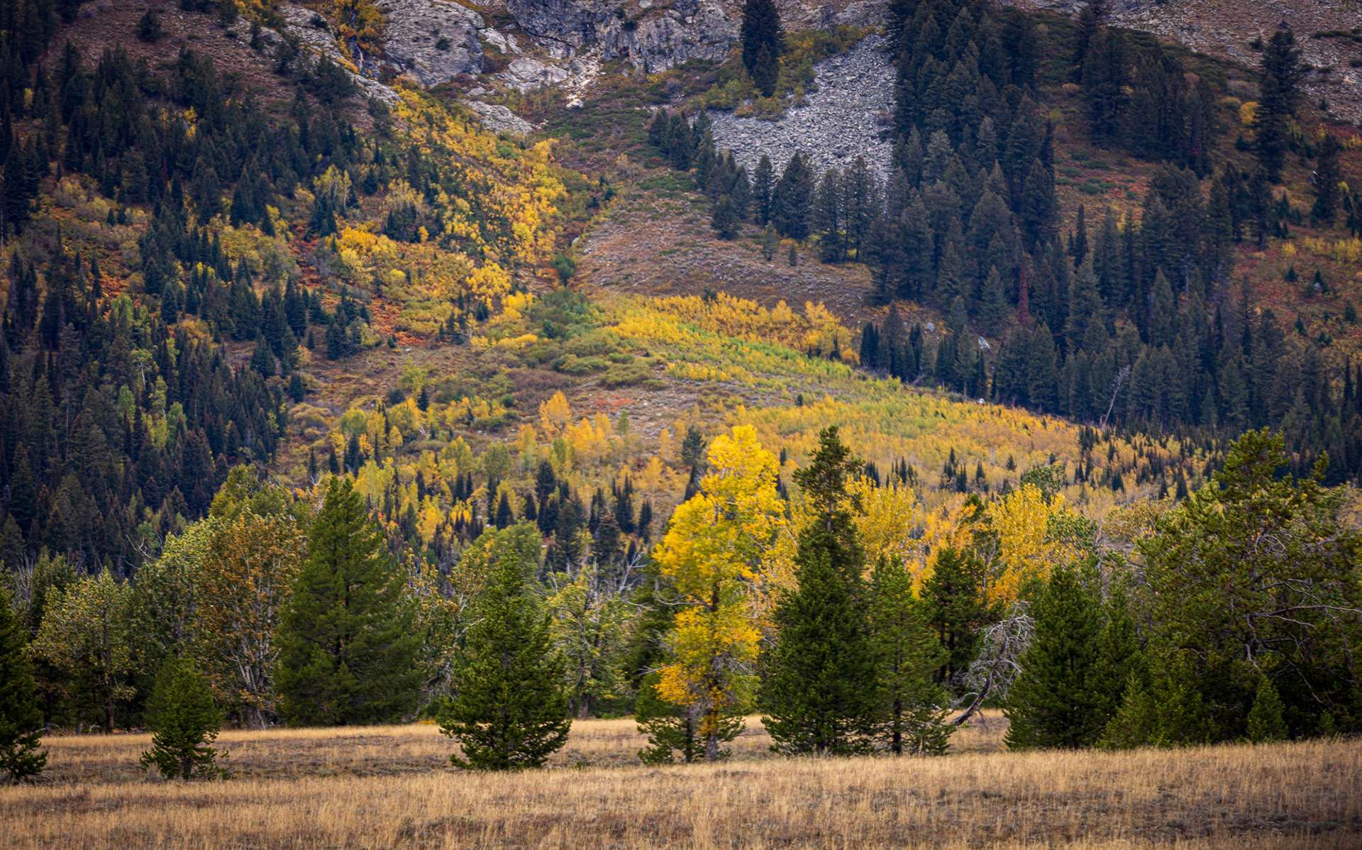 Grand Teton National Park