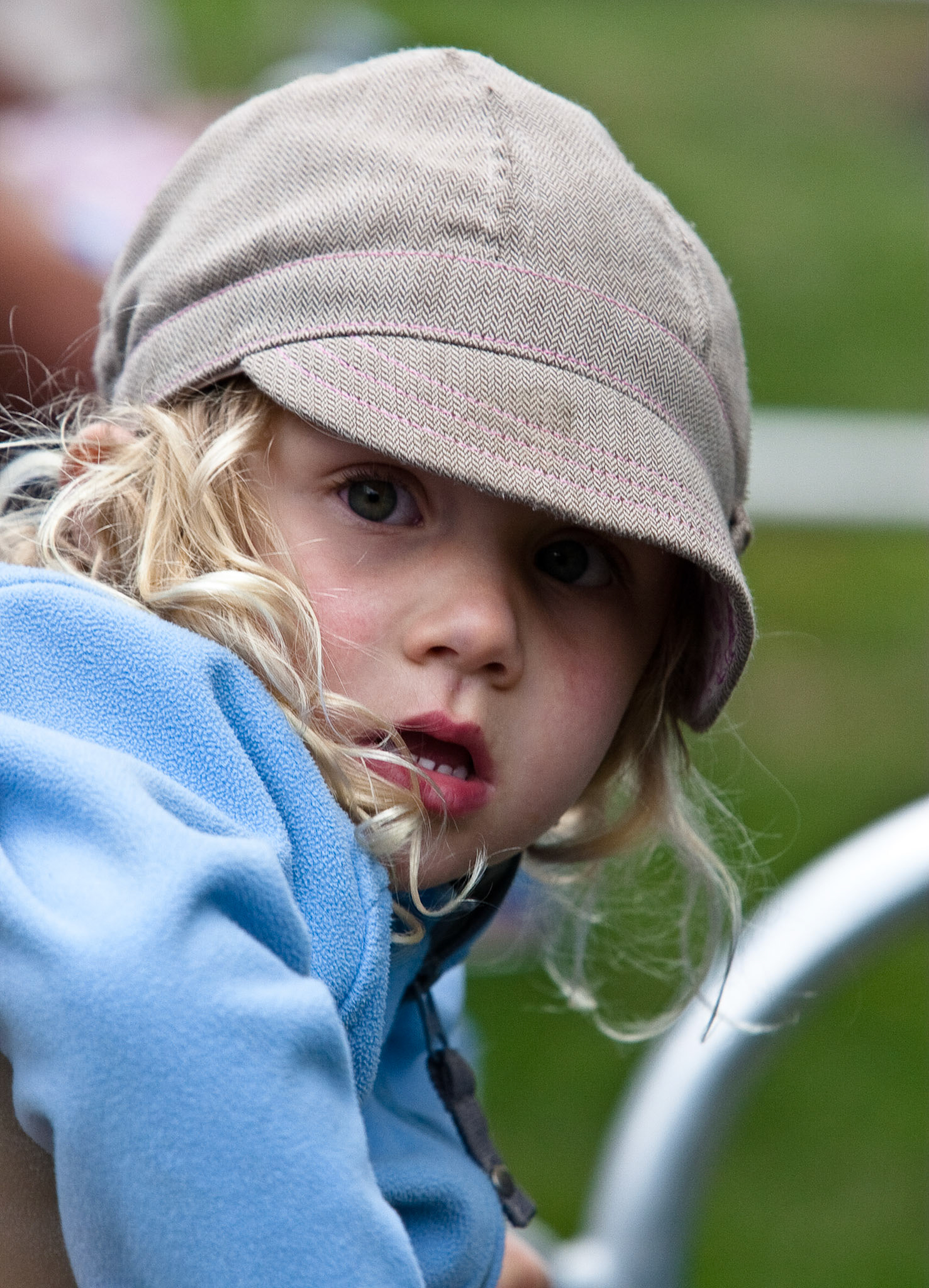 Bluegrass Festival