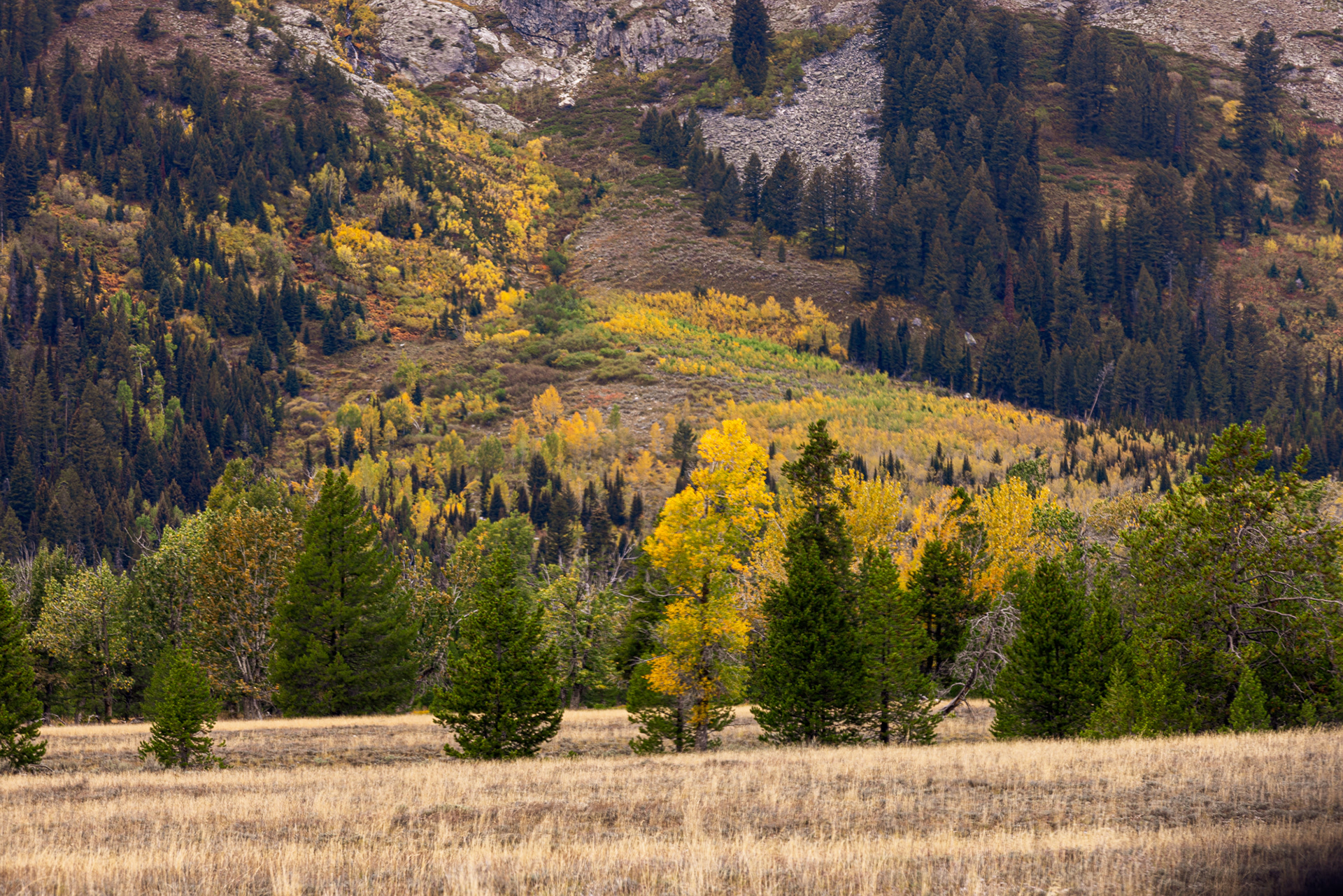Grand Teton NP