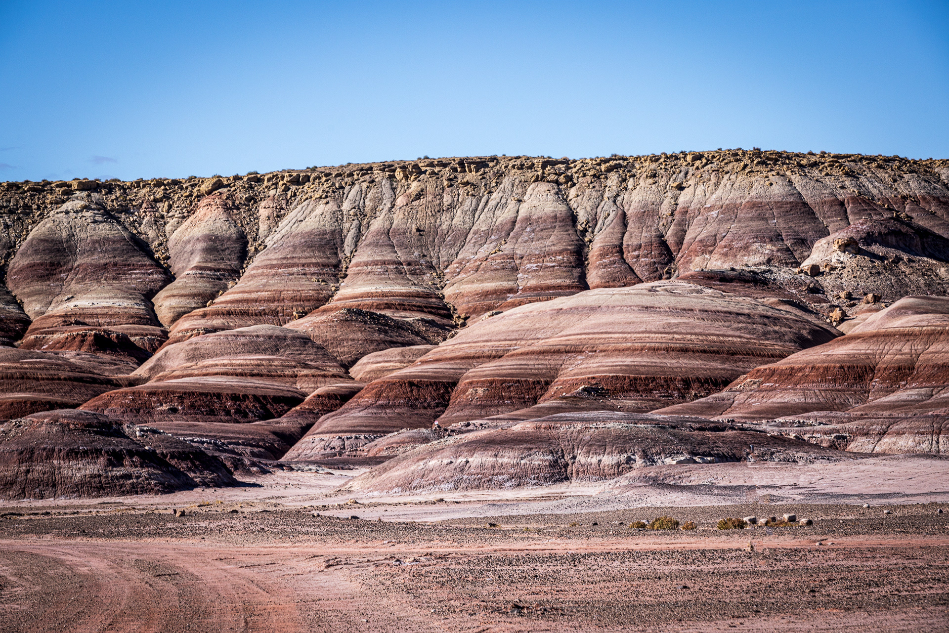 Bentonite Hills