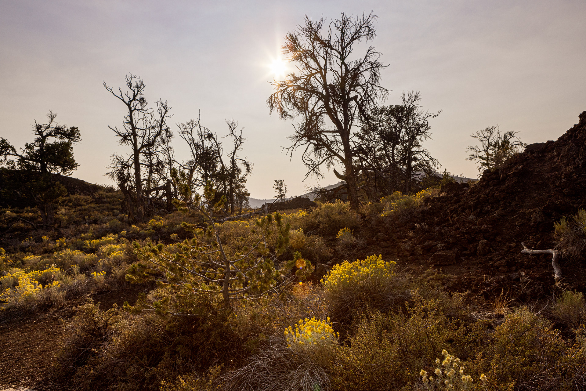Craters of the Moon NR