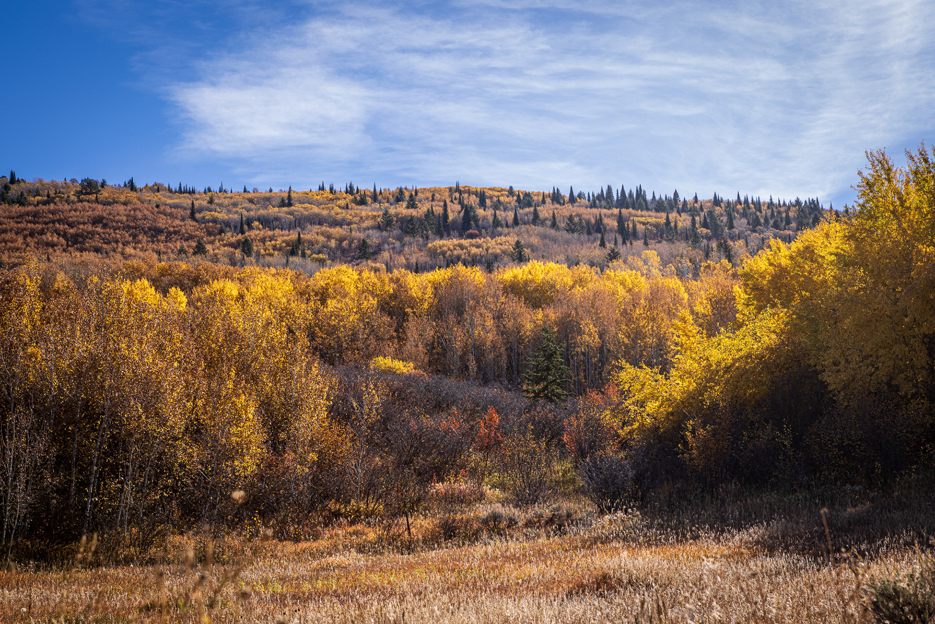 Stateline Road