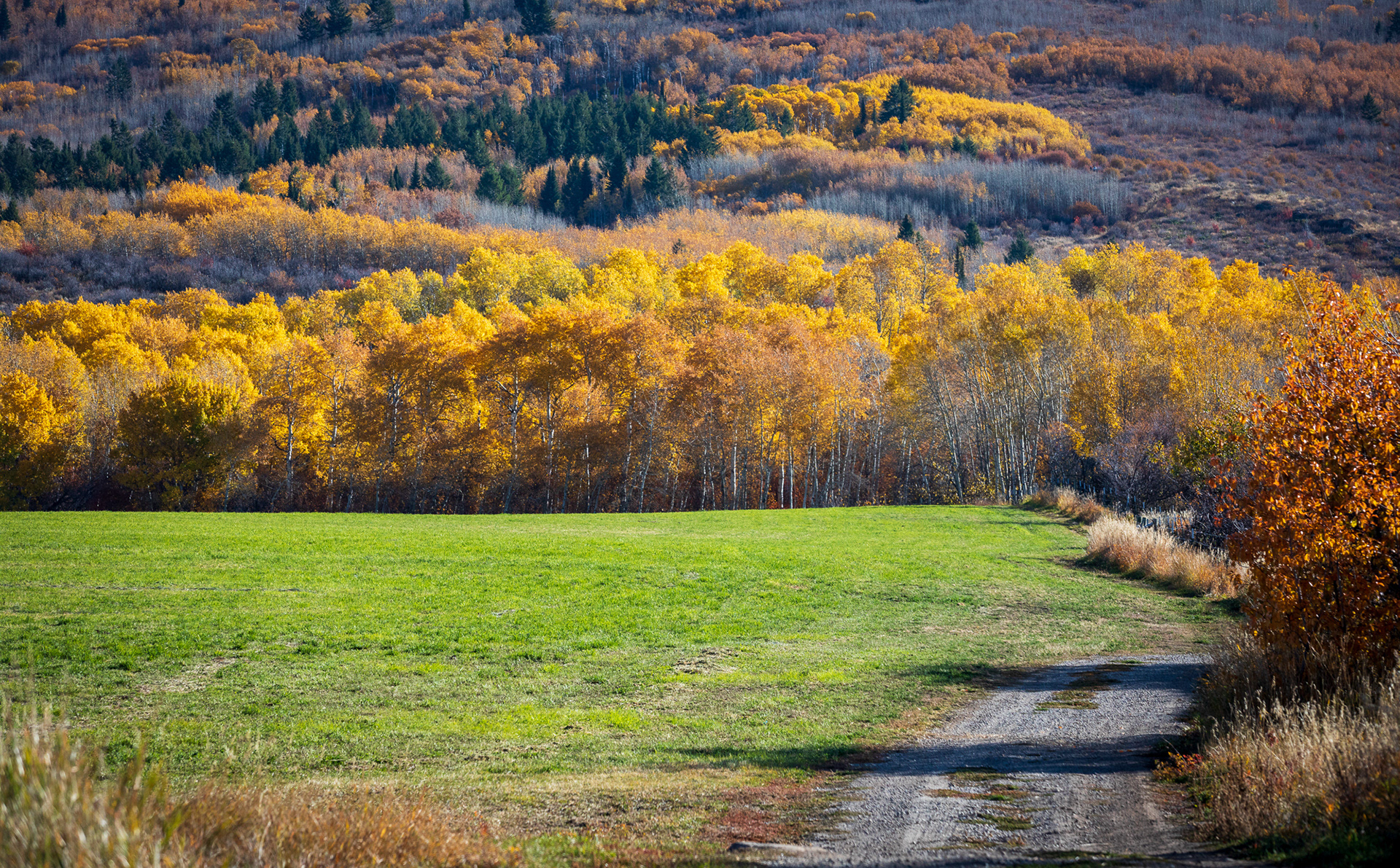 Stateline Road