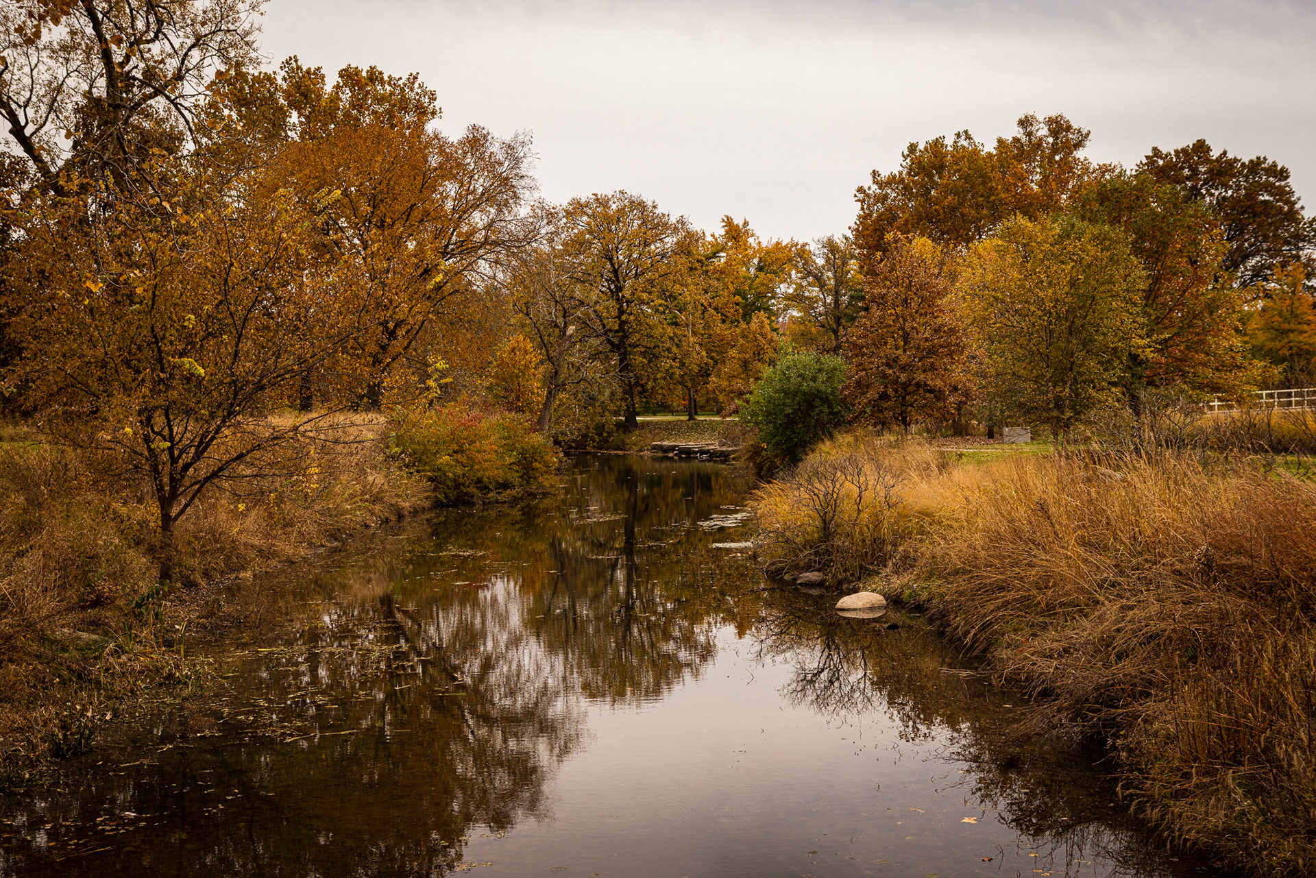 Forest Park