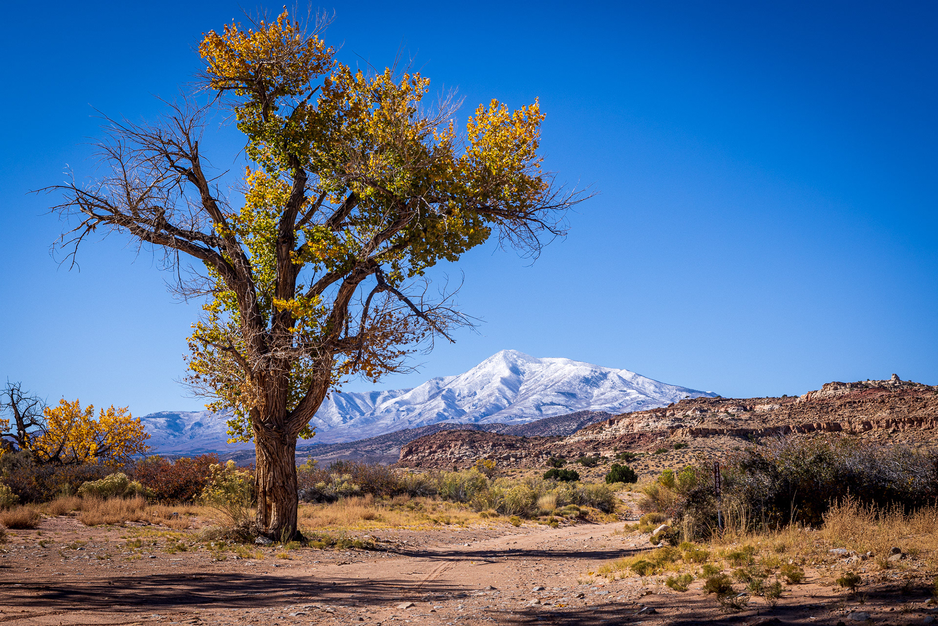 Henry Mountains