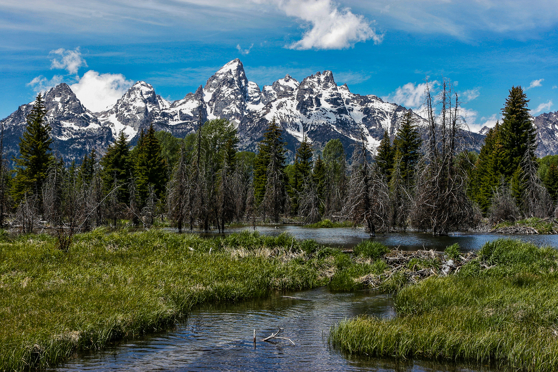 Schwabacher Landing