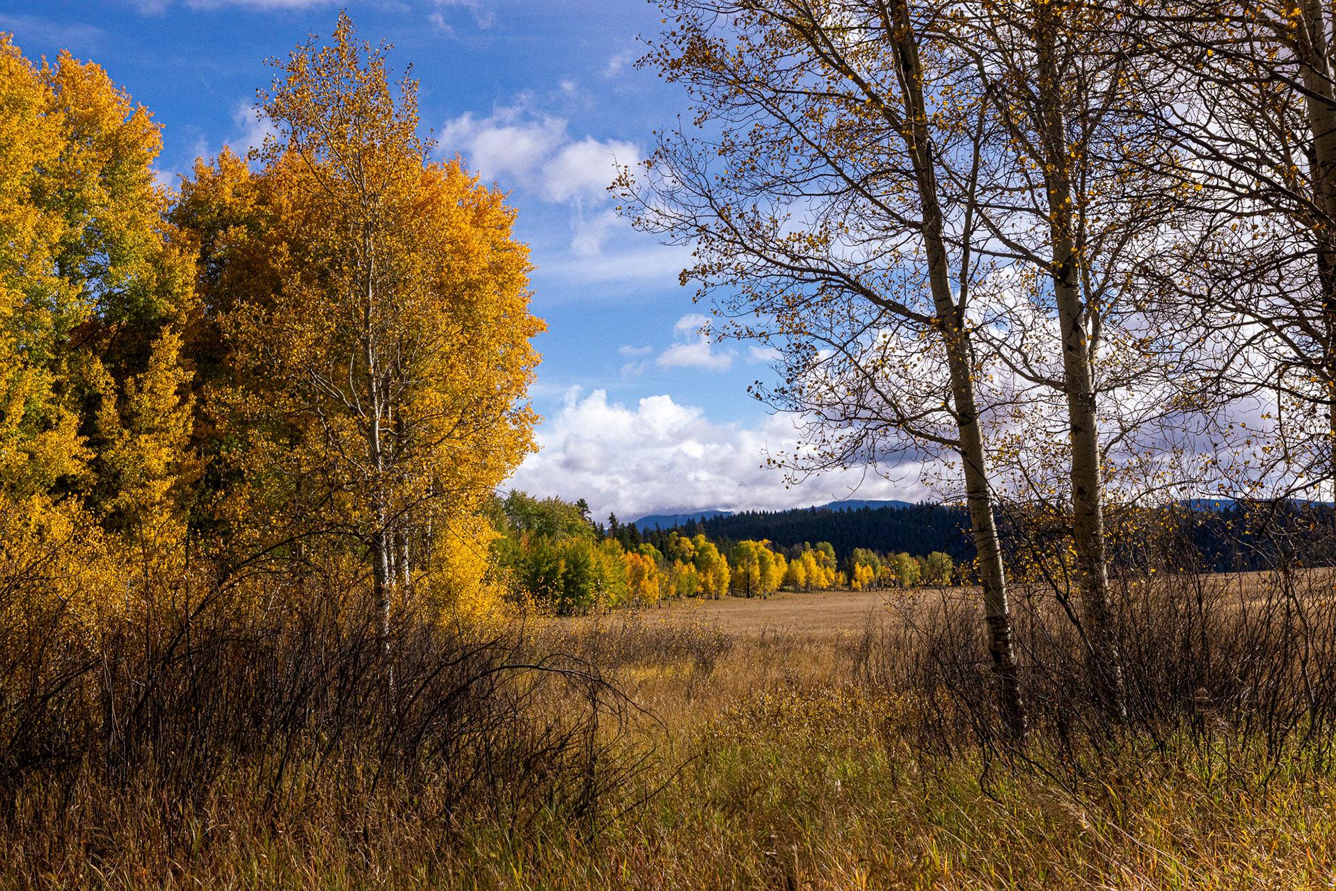 Grand Teton NP