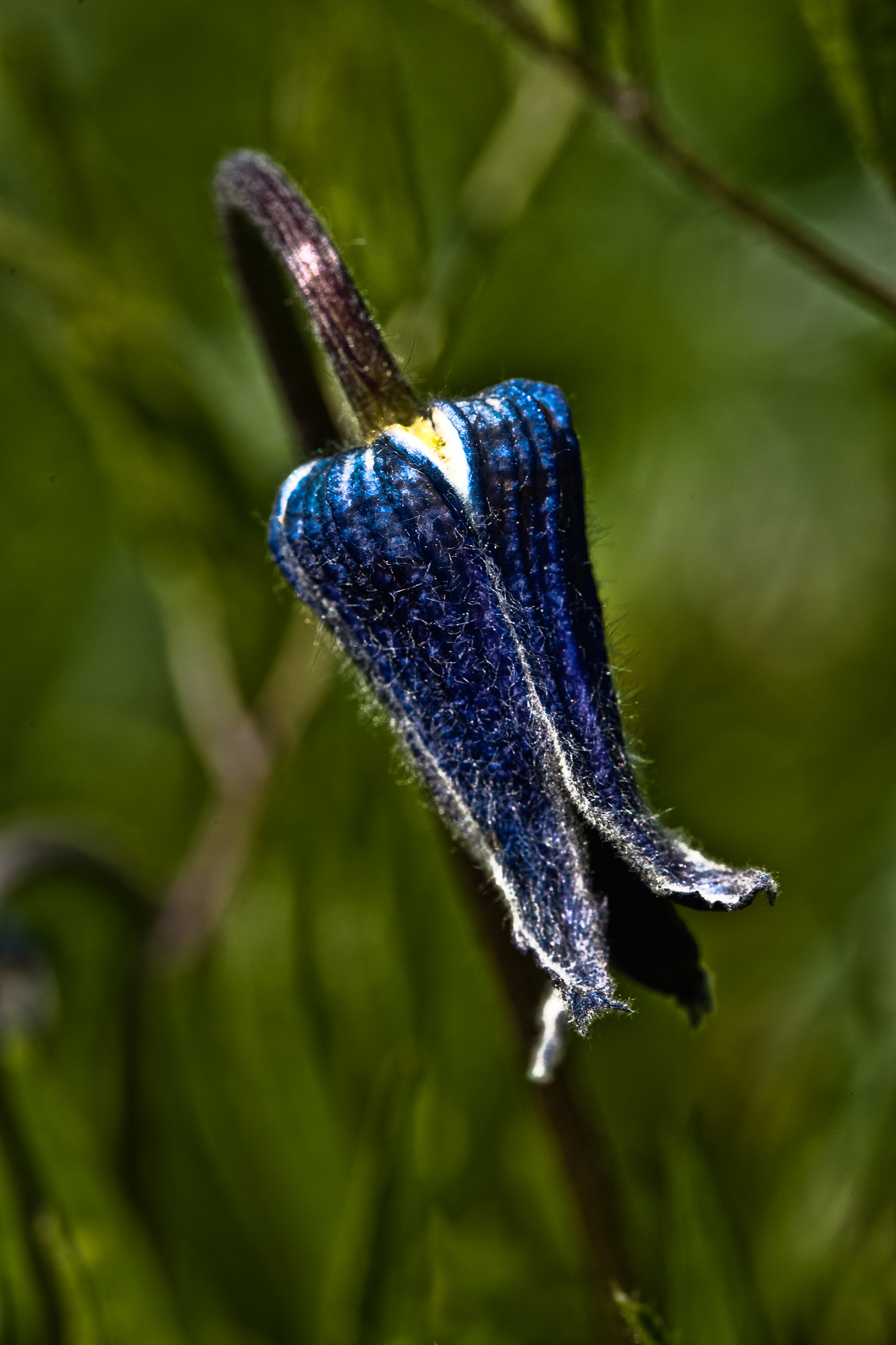 Vase flower