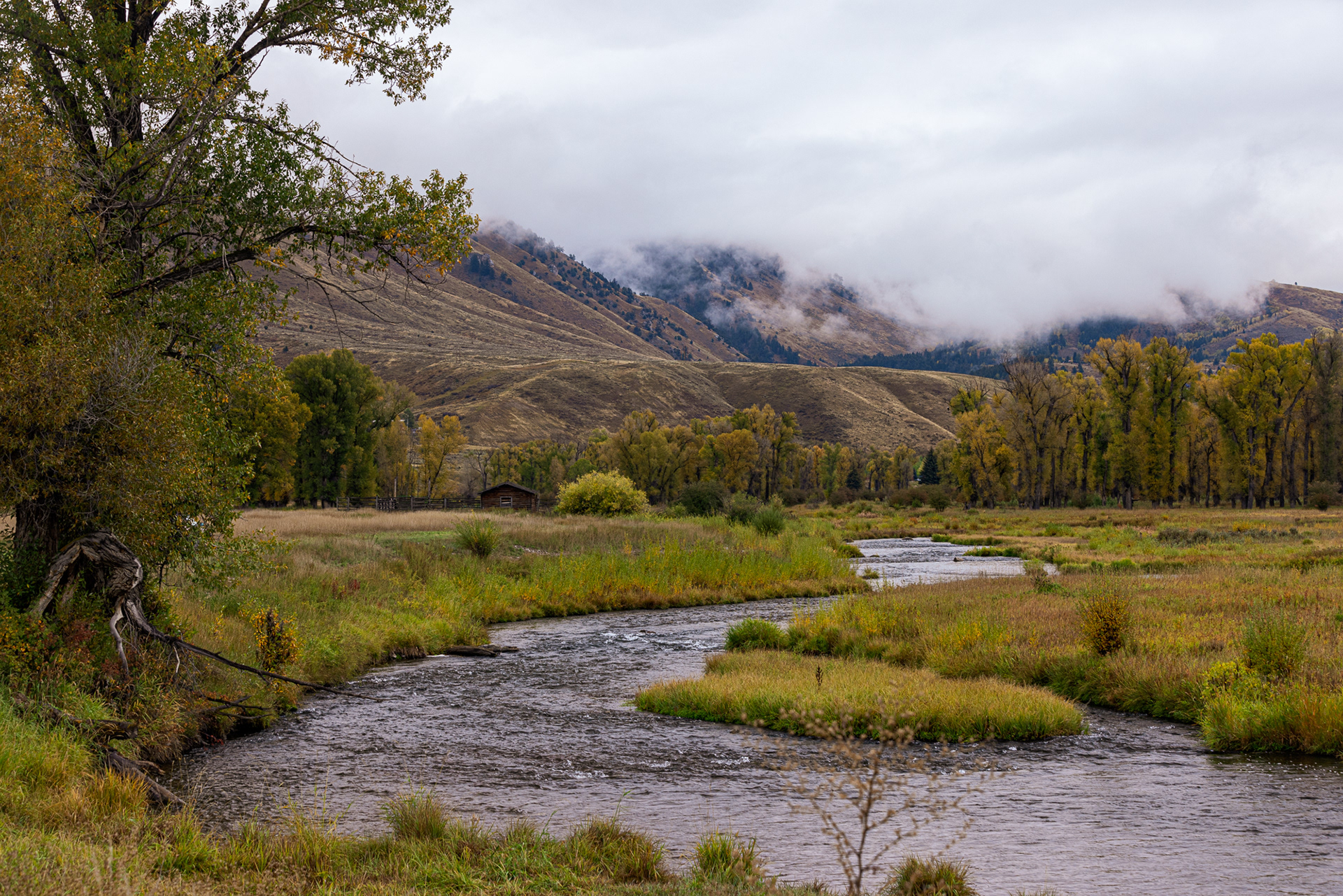 South Park Wildlife Management Area