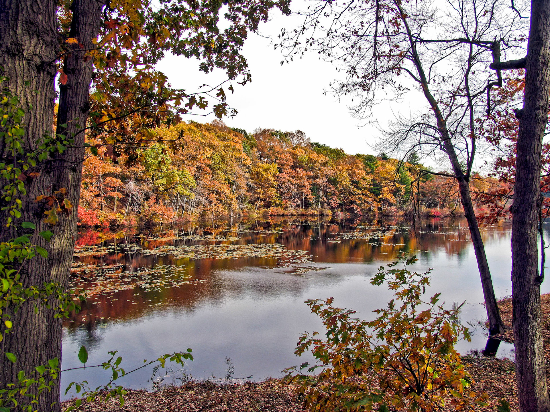 Charles River - Waltham MA