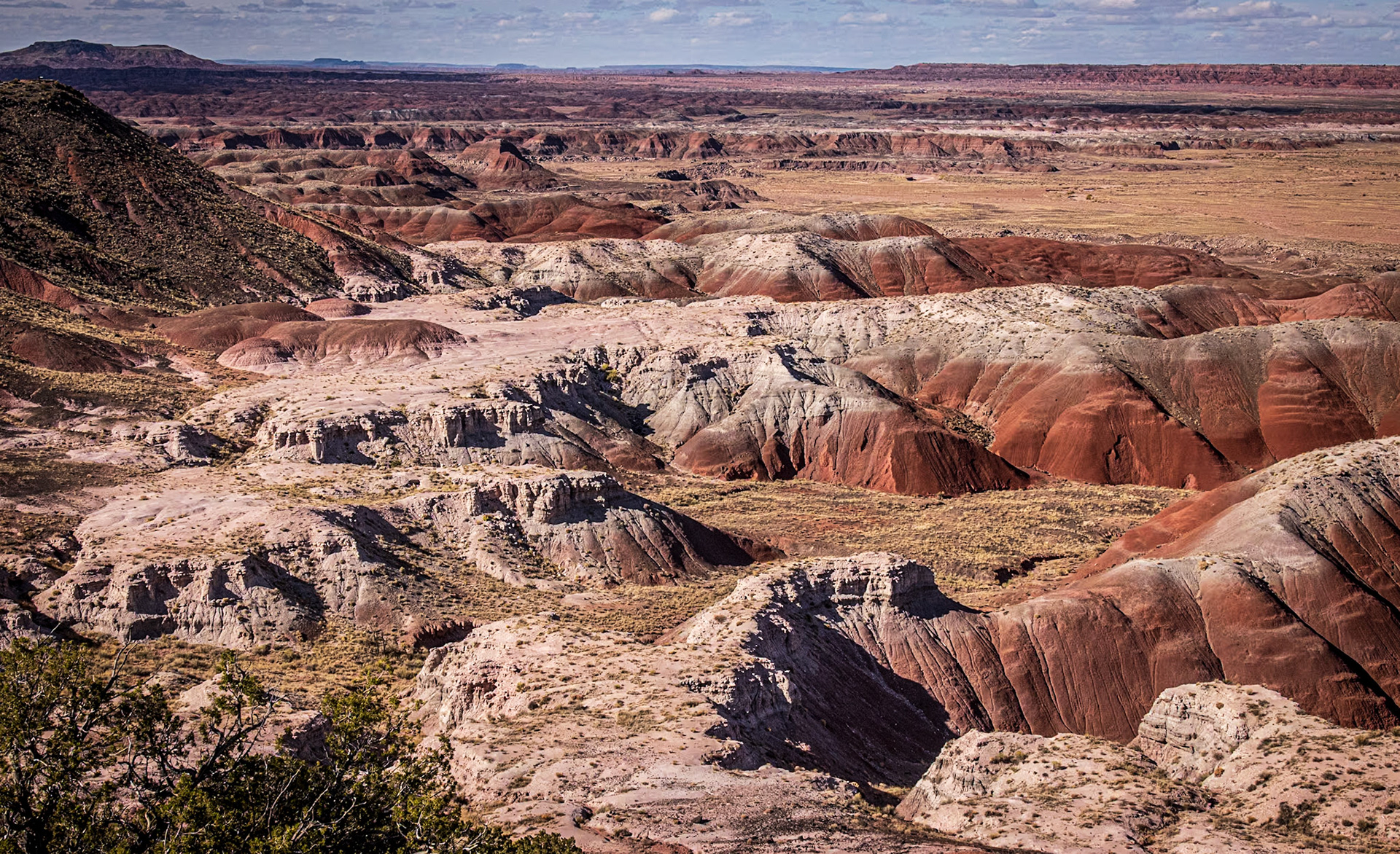 Petrified Forest National Park