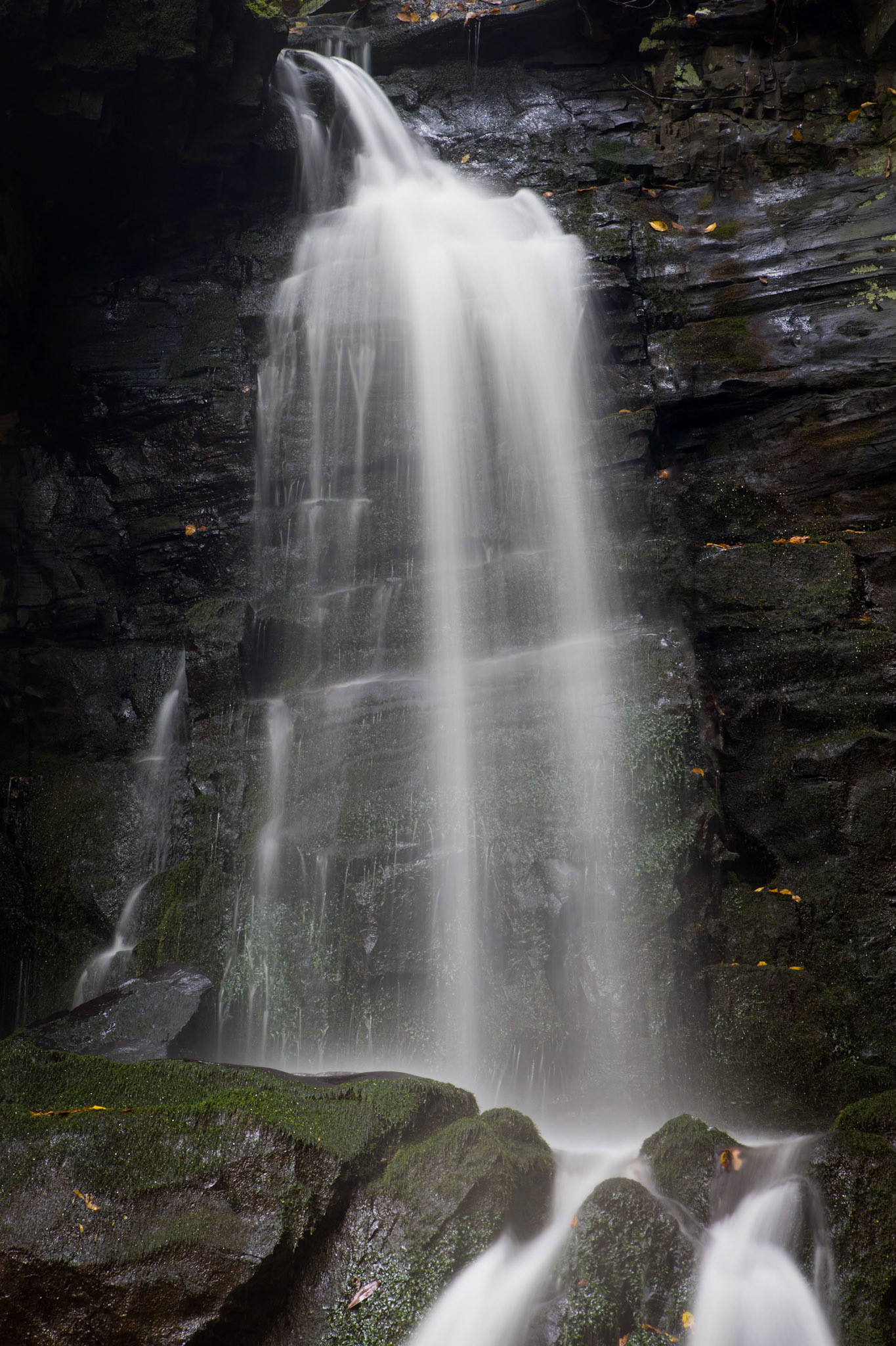 Baskins Creek Falls - Great Smoky Mountains NP