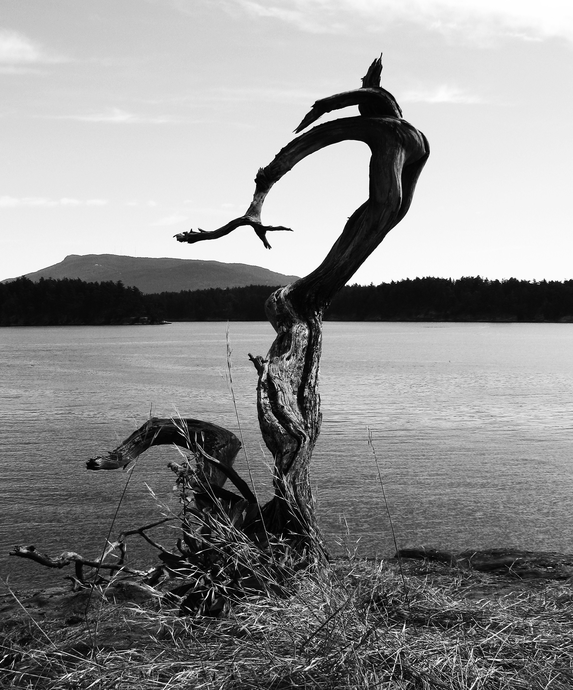 Sucia Island overlooker, San Juan Islands, WA