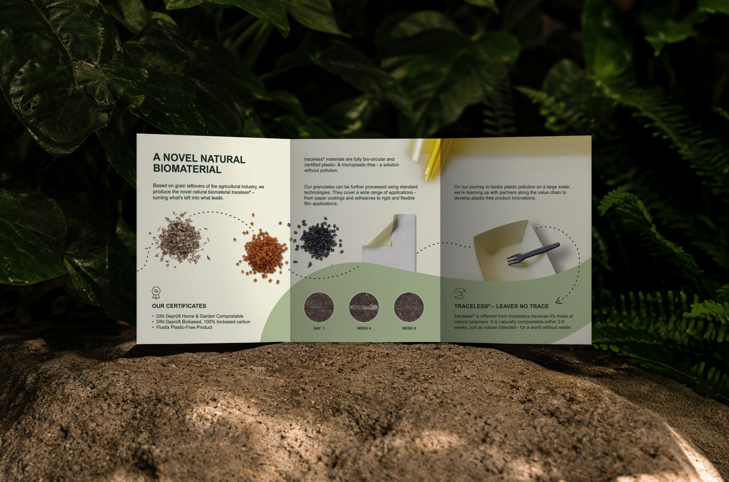 B2B Flyer design