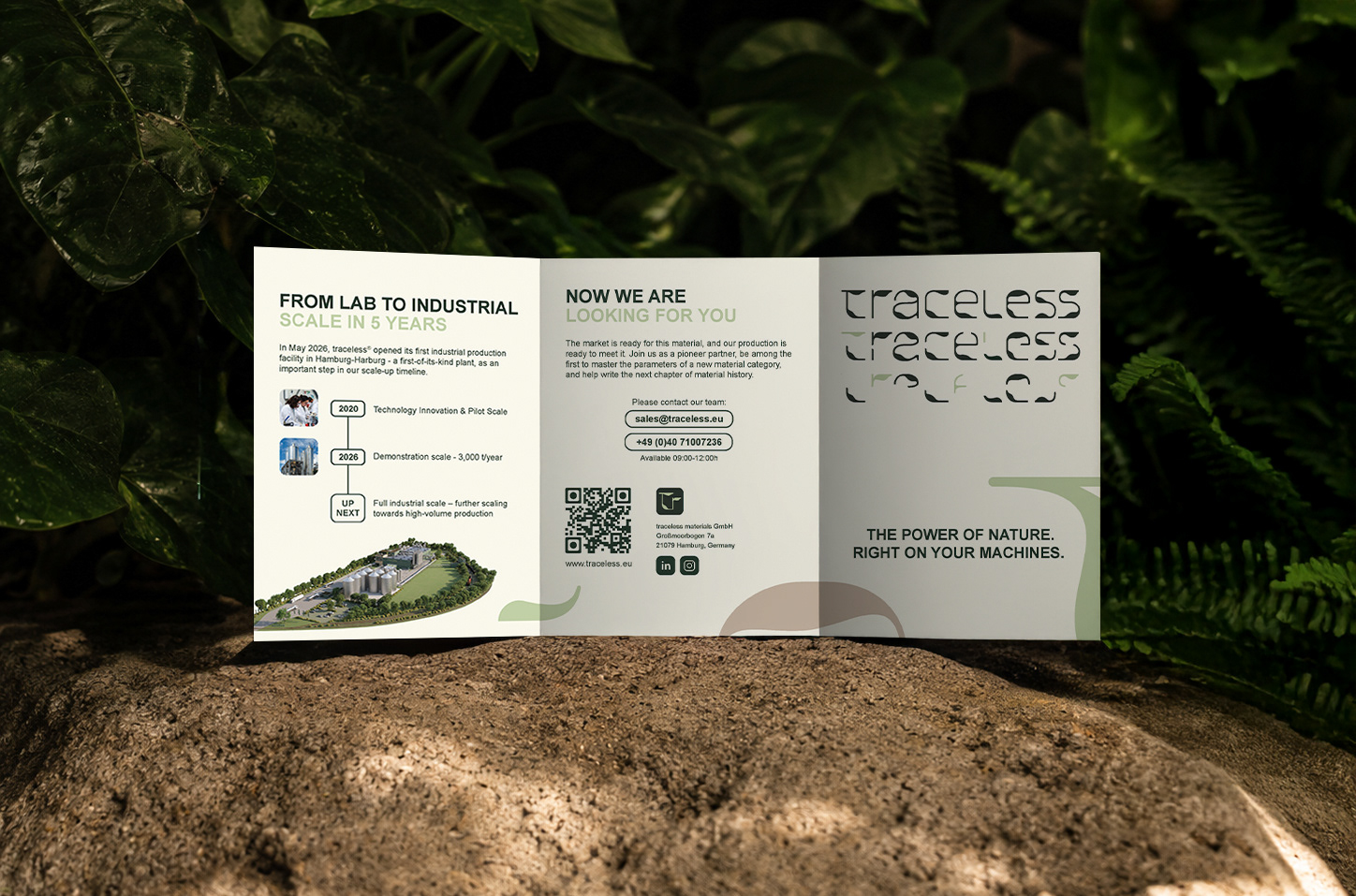 A5 Flyer Design
