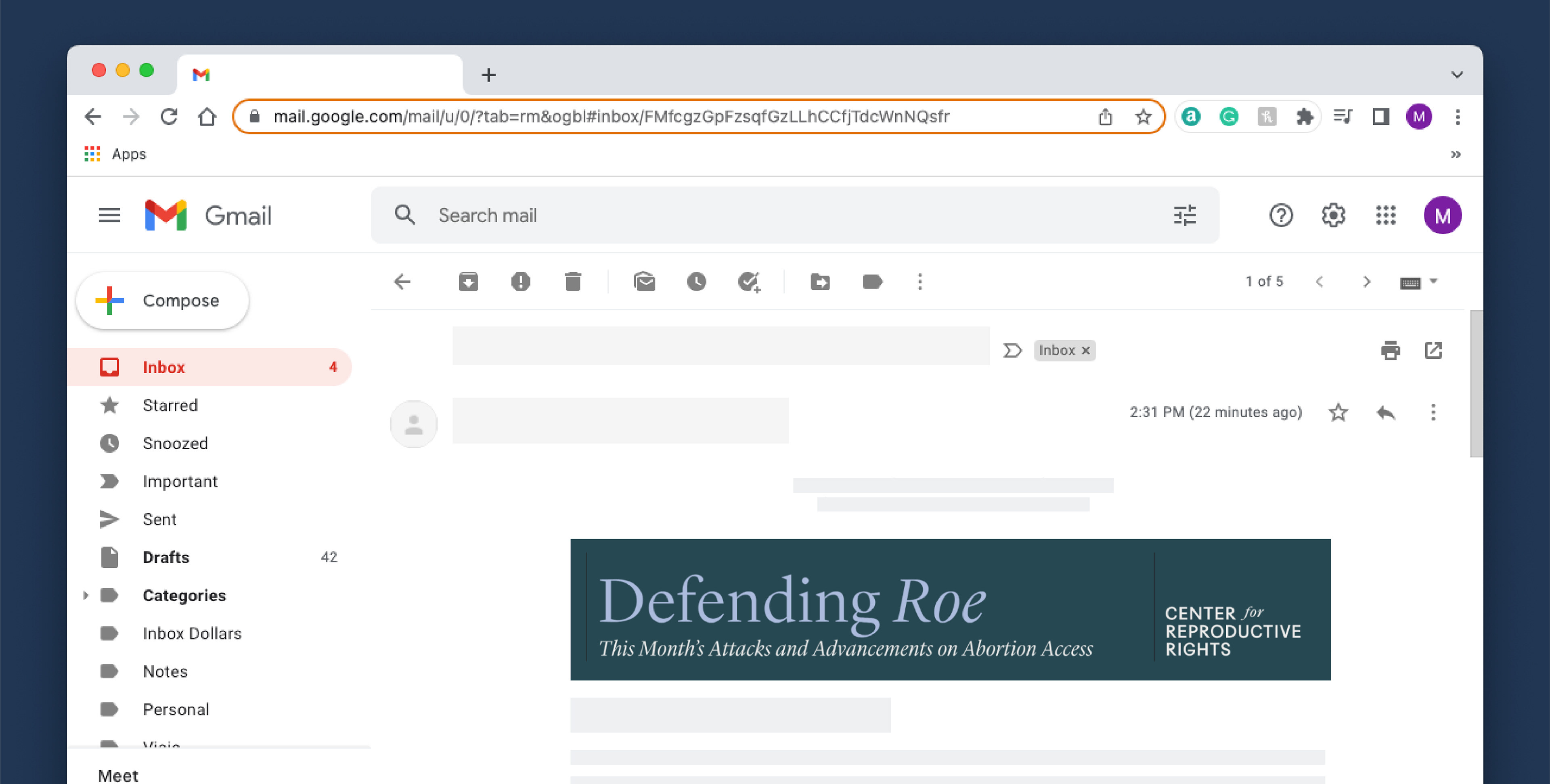Defending Roe Newsletter Banner
