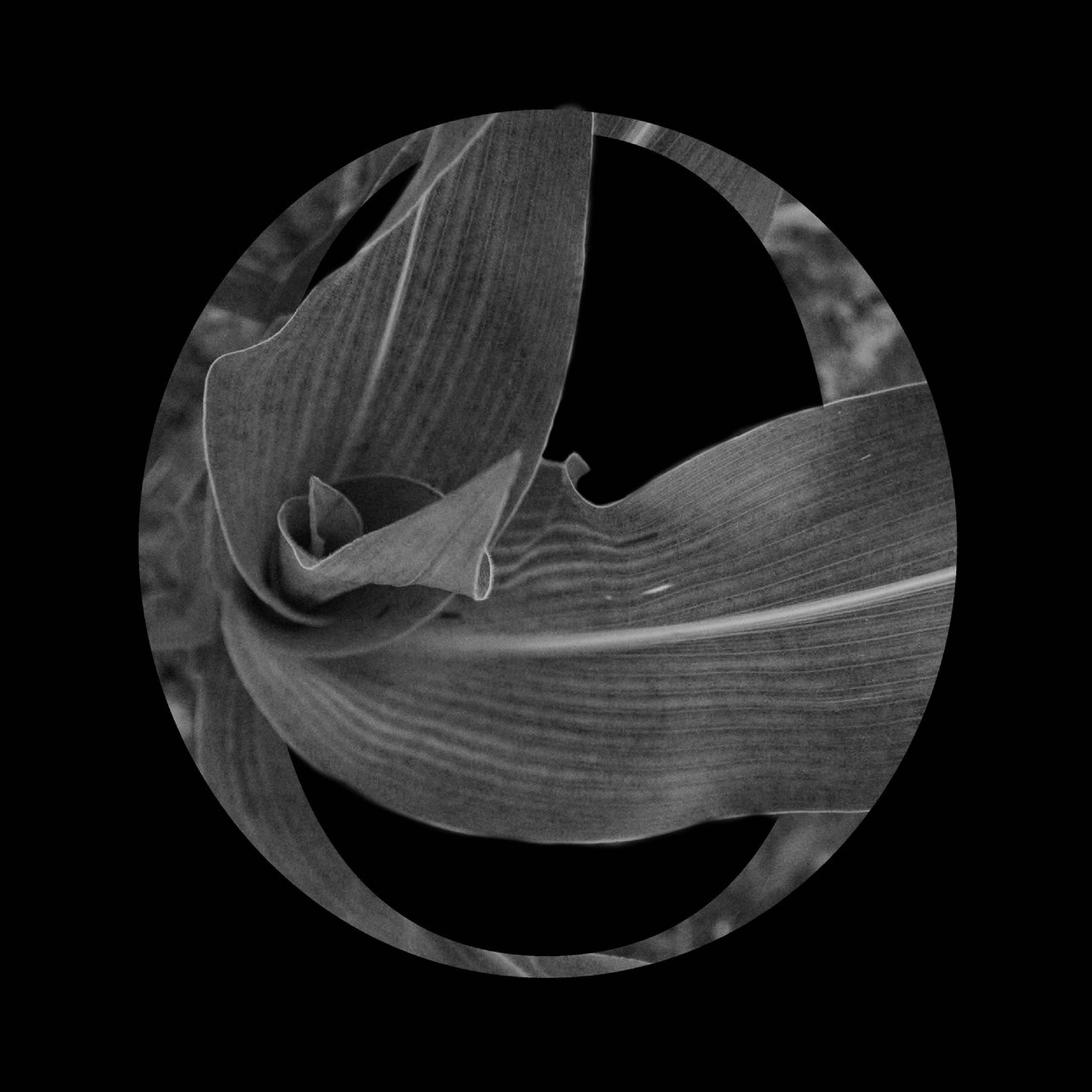 Hidden things – "O"