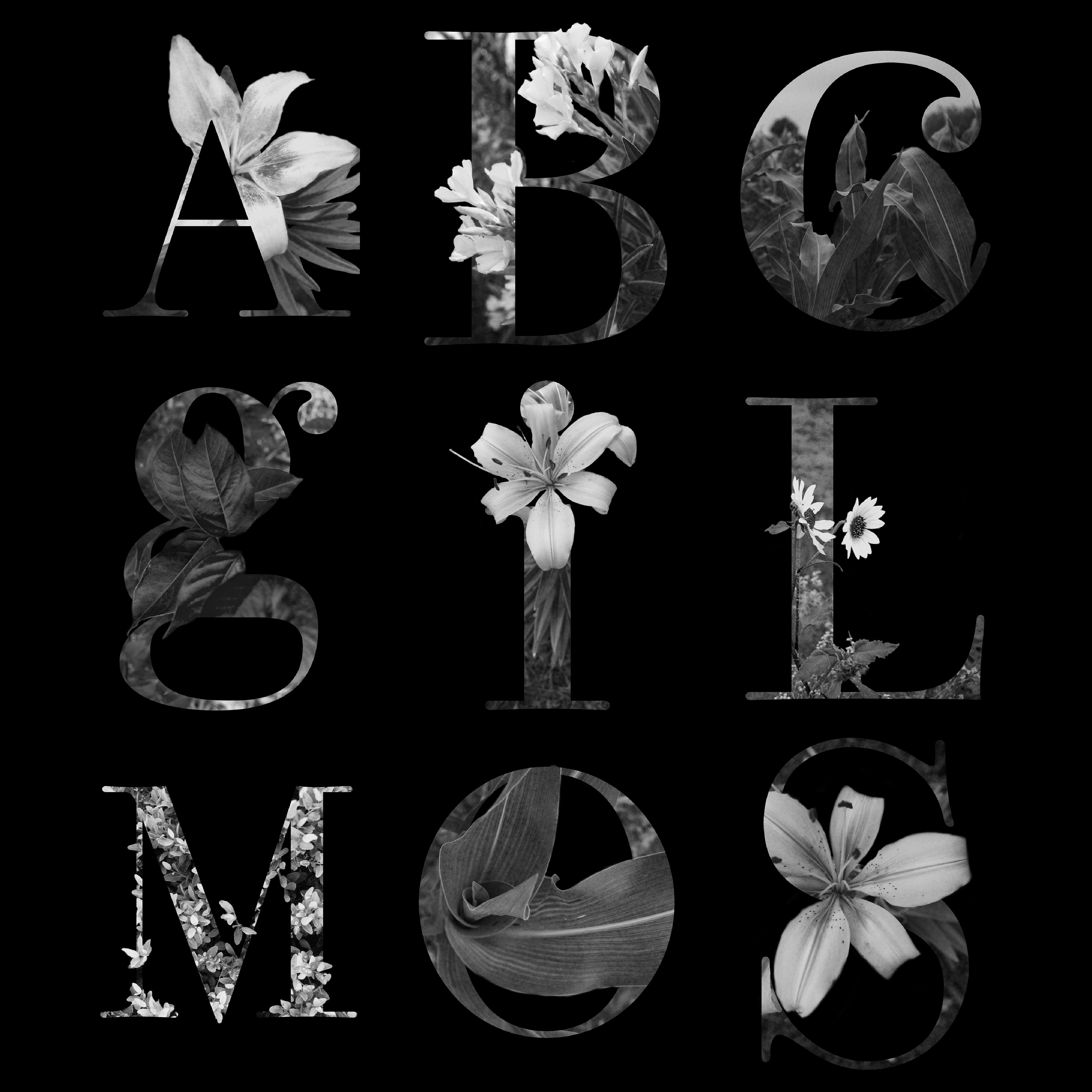 Hidden things alphabet