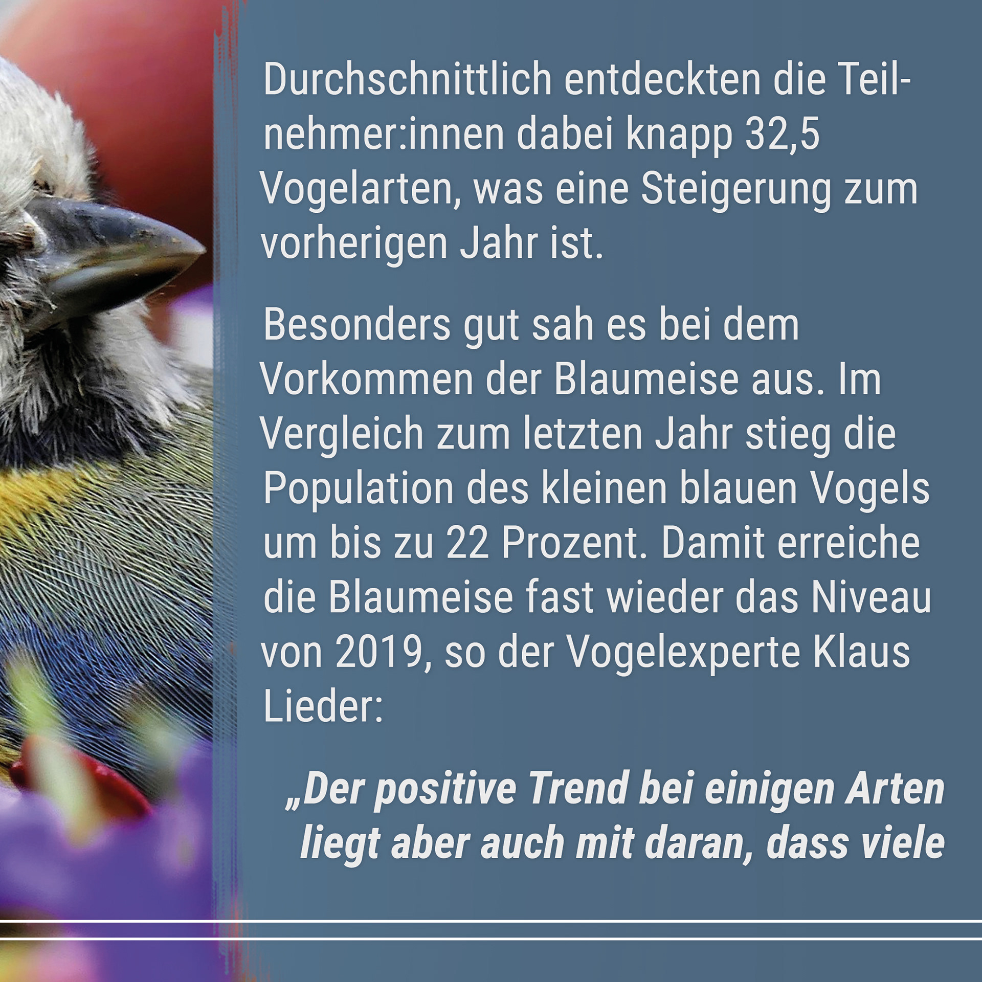 21-06 Good News Magazin Instagram