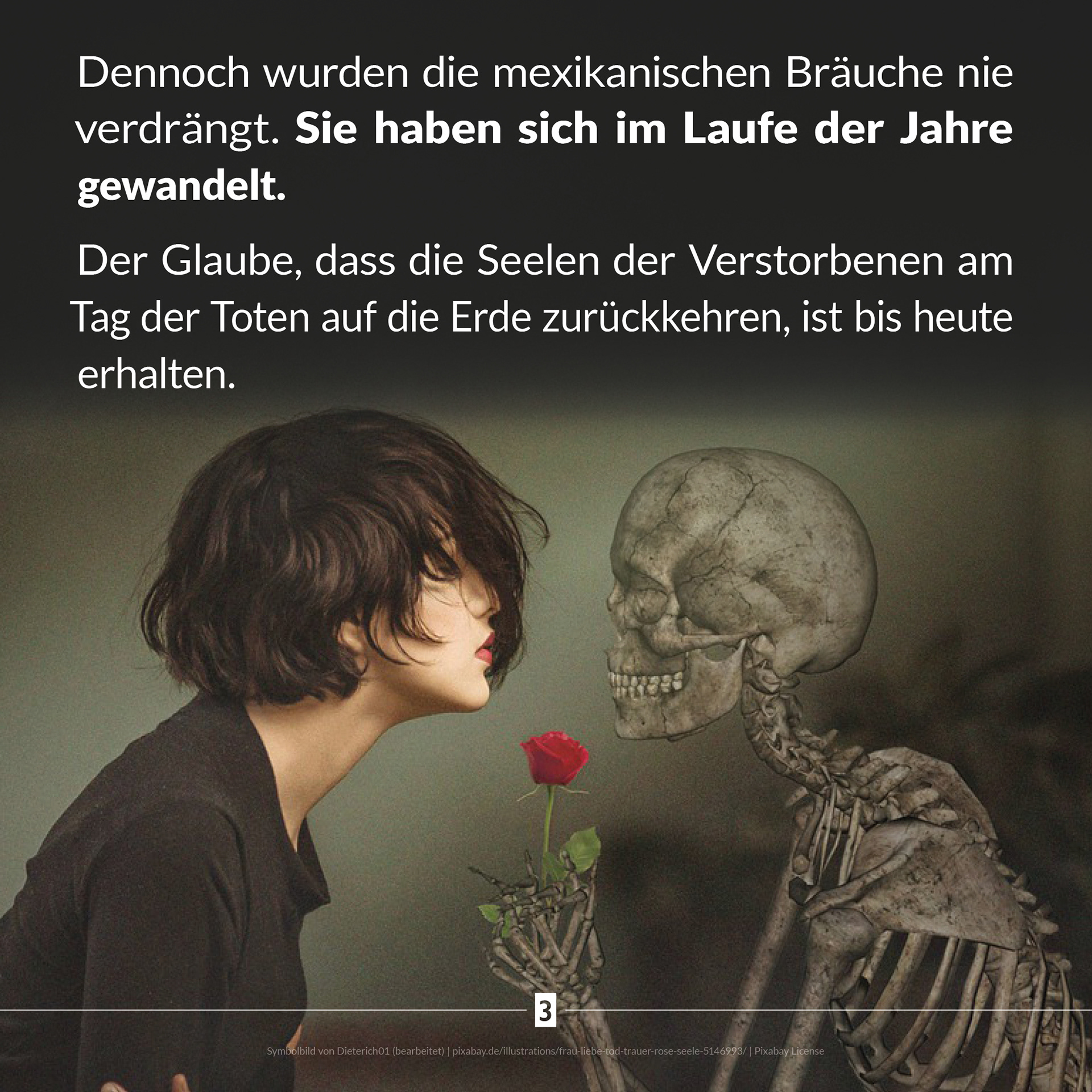 2011 light up! News Instagram