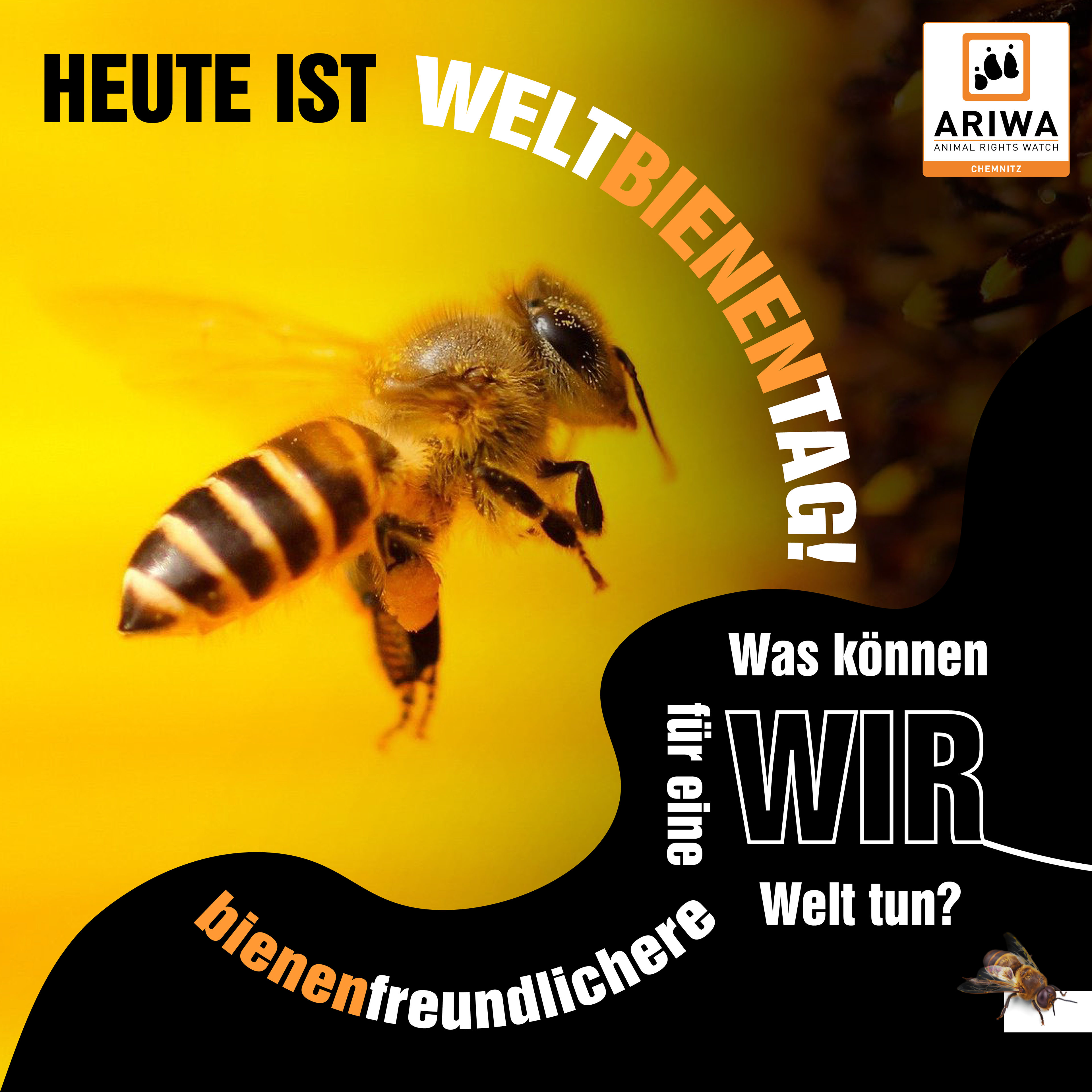 2105 ARIWA Chemnitz Weltbienentag