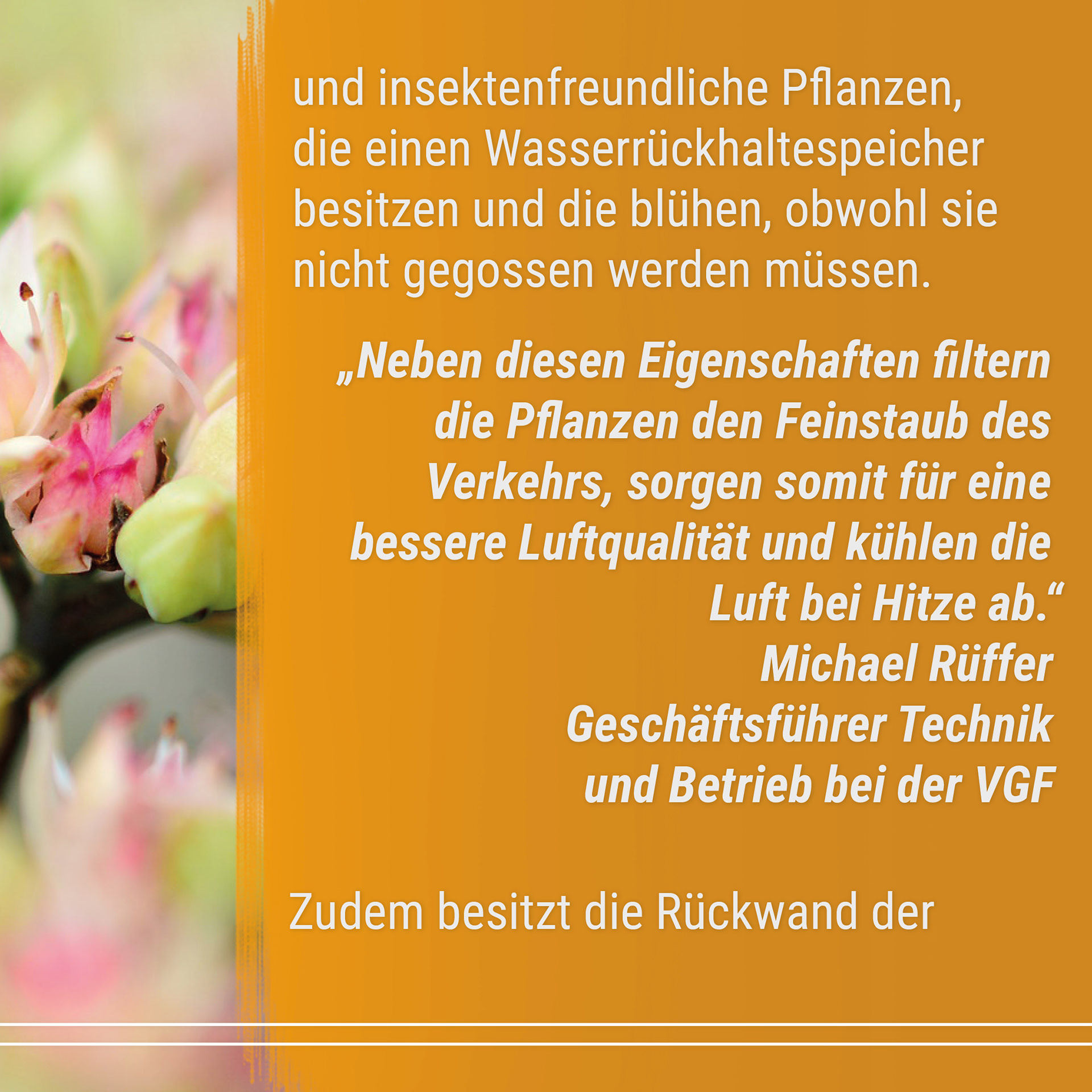 21-06 Good News Magazin Instagram