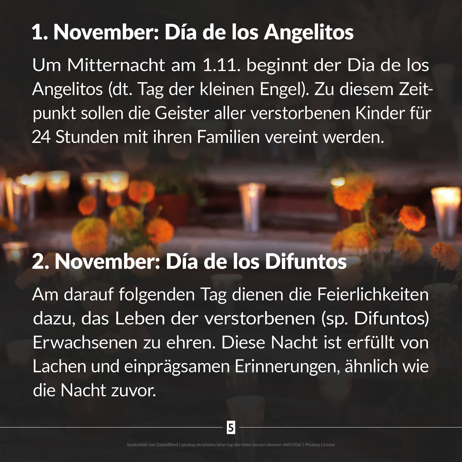 2011 light up! News Instagram