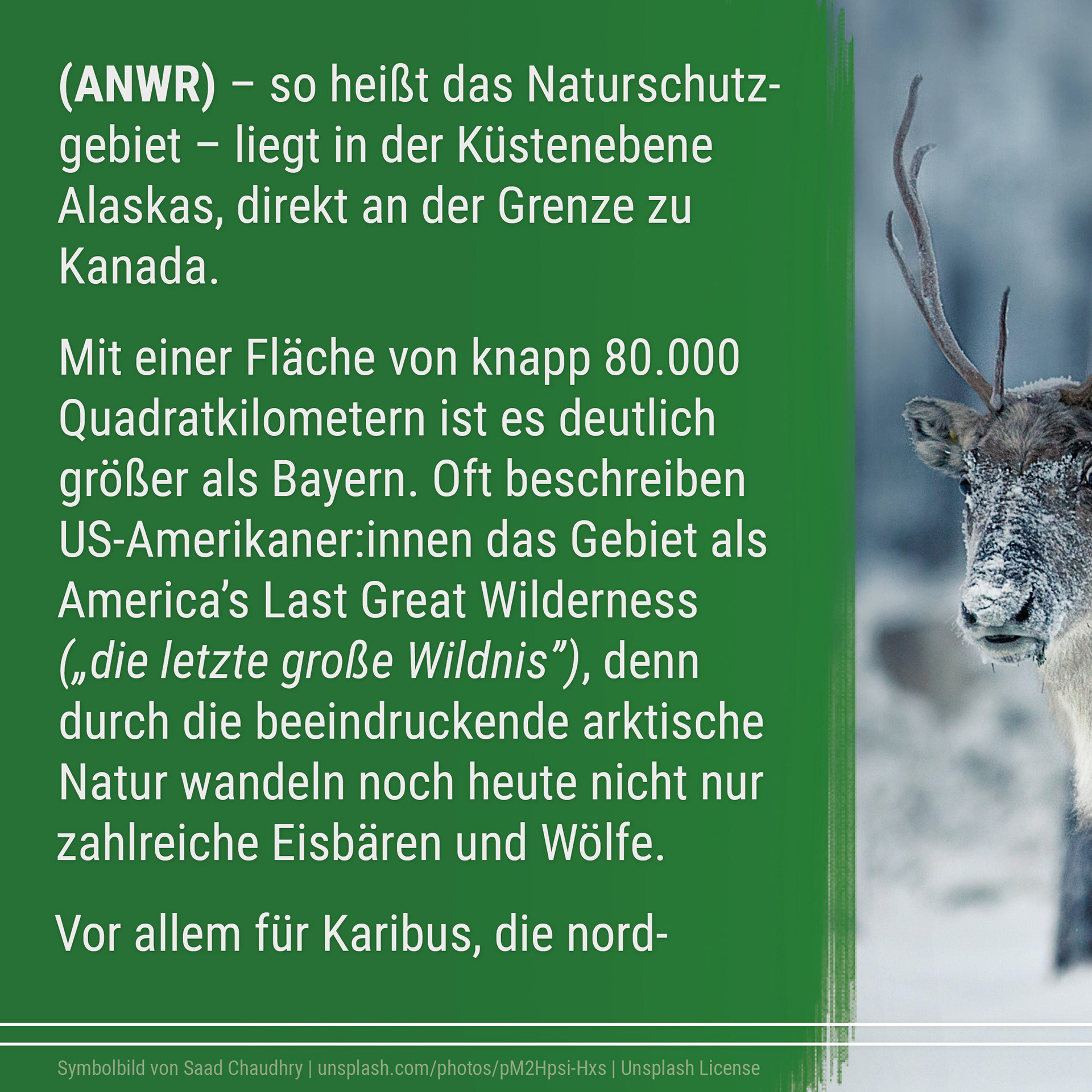 21-06 Good News Magazin Instagram