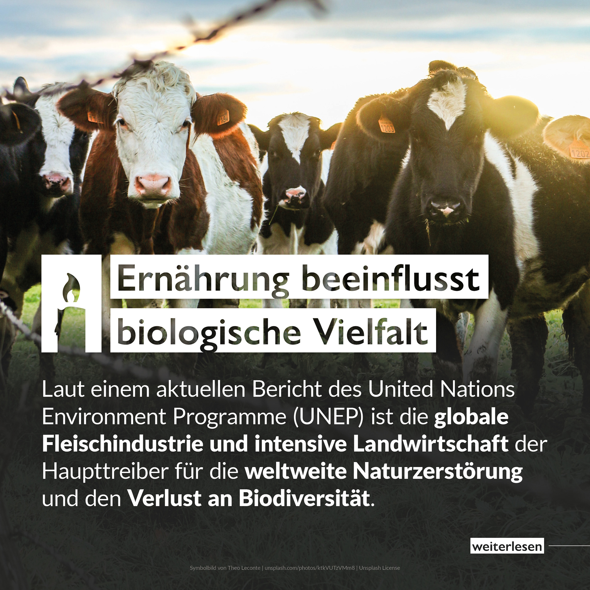 2102 light up! News Instagram