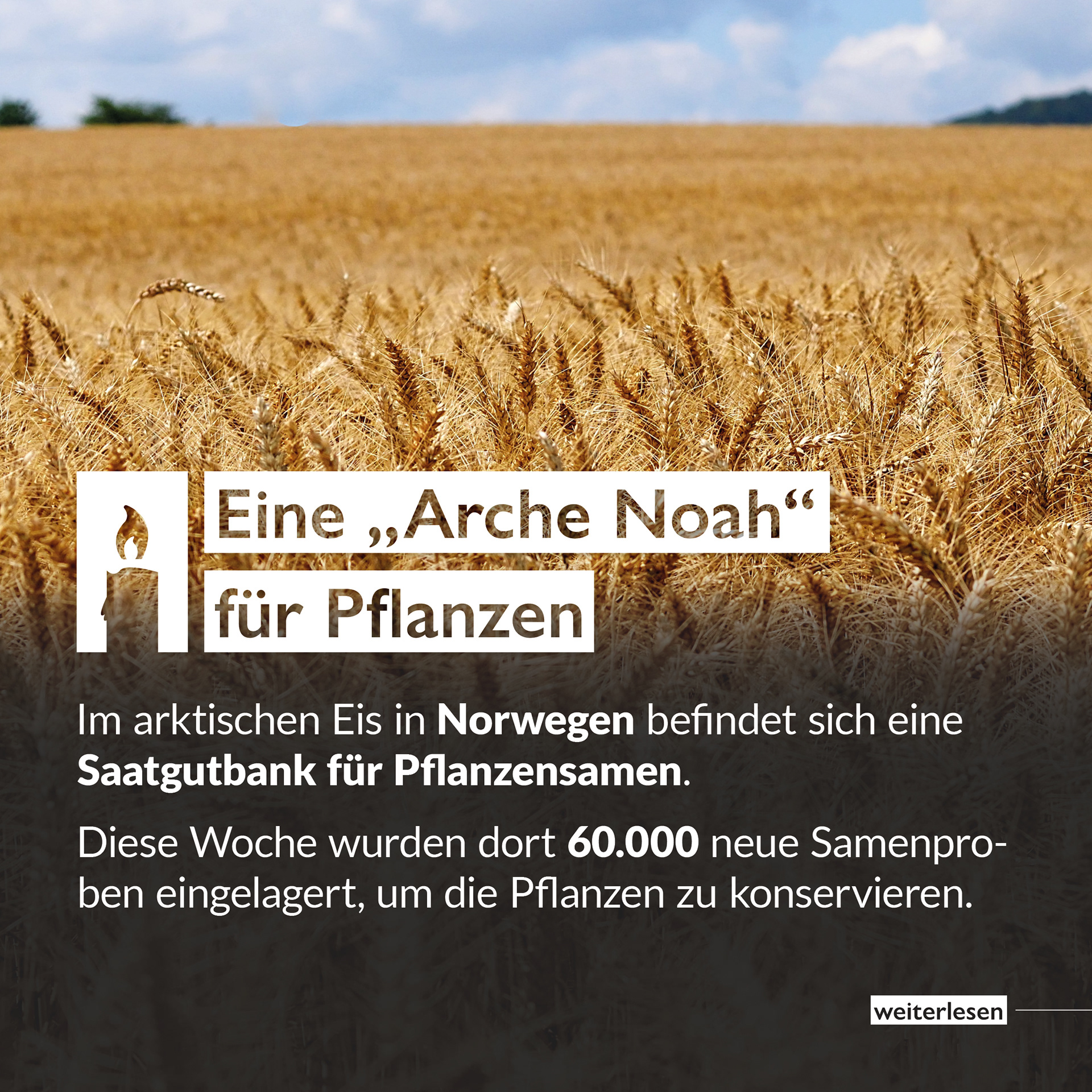 2002 light up! News Instagram