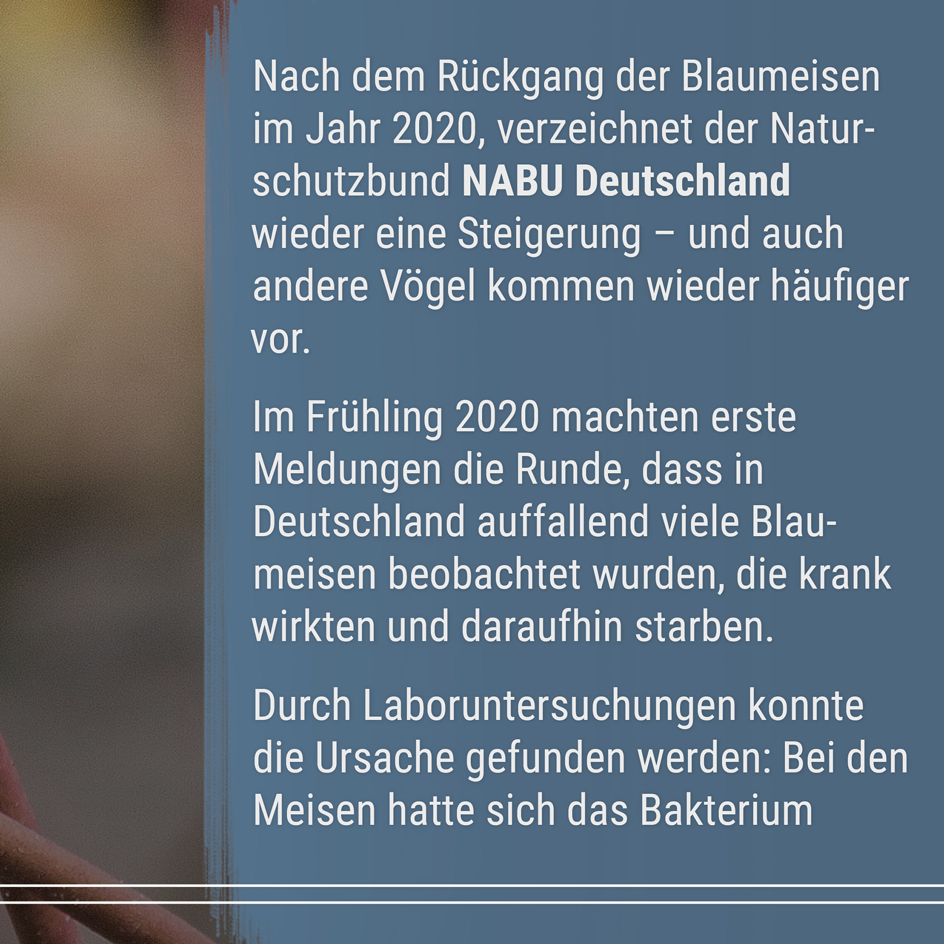 21-06 Good News Magazin Instagram