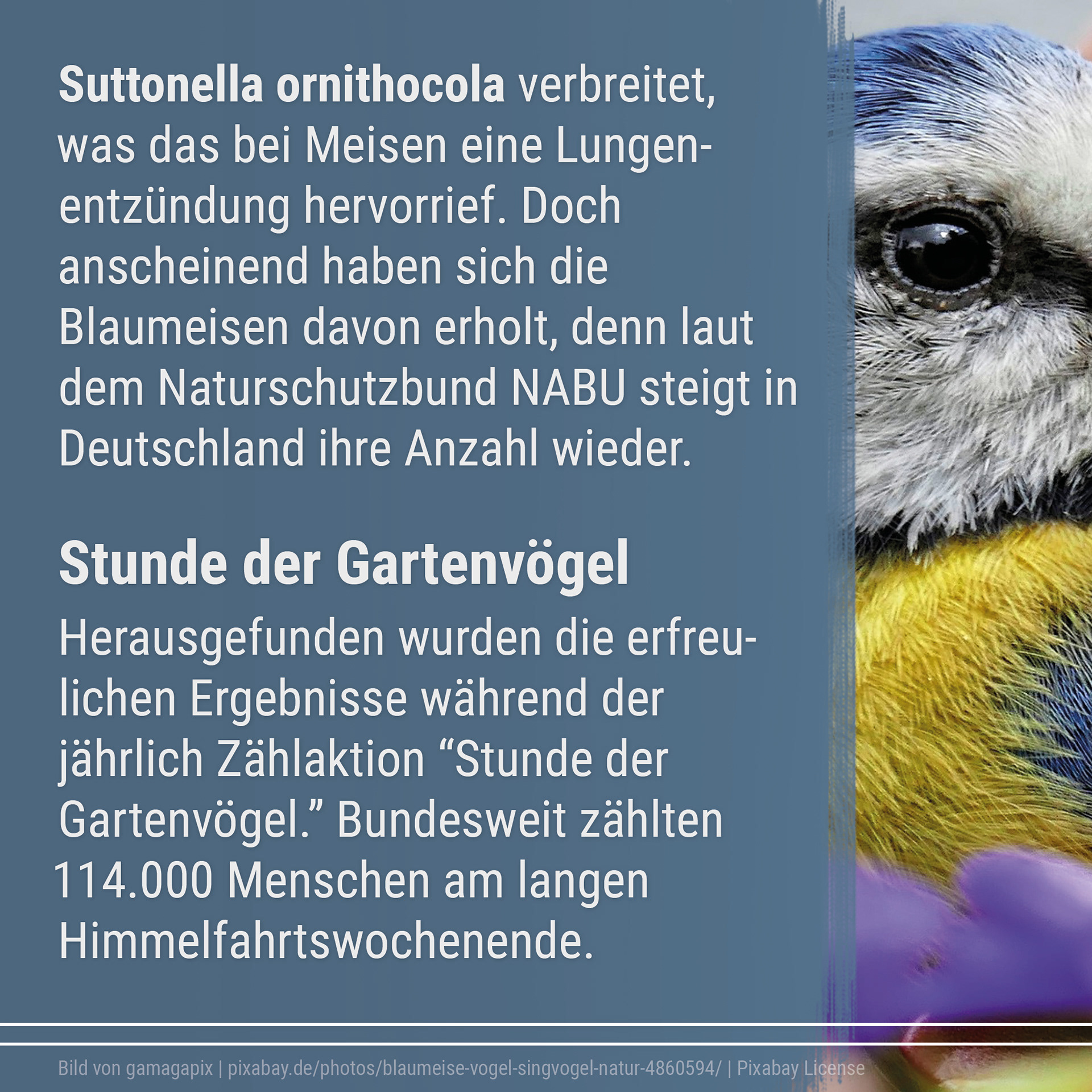 21-06 Good News Magazin Instagram