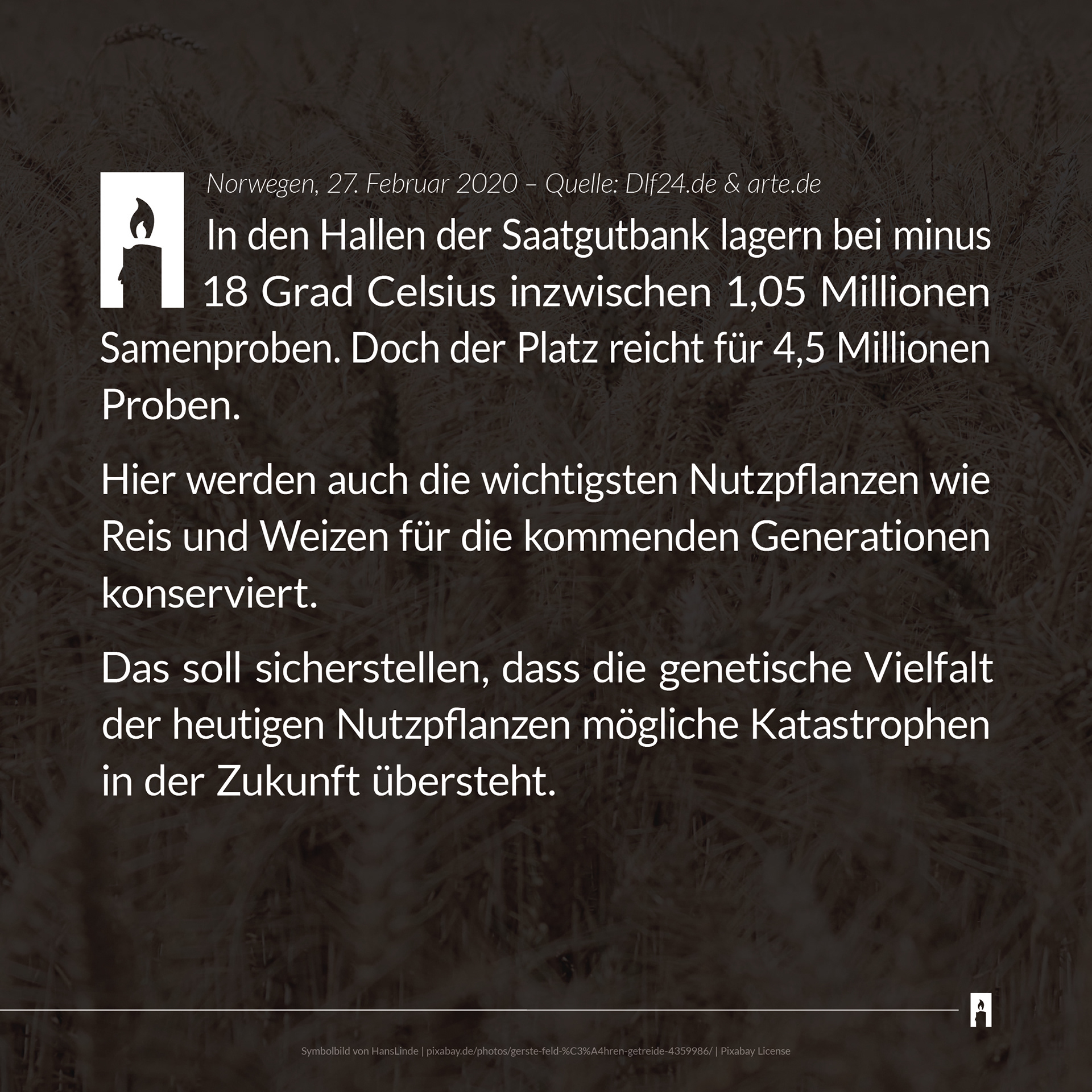 2002 light up! News Instagram