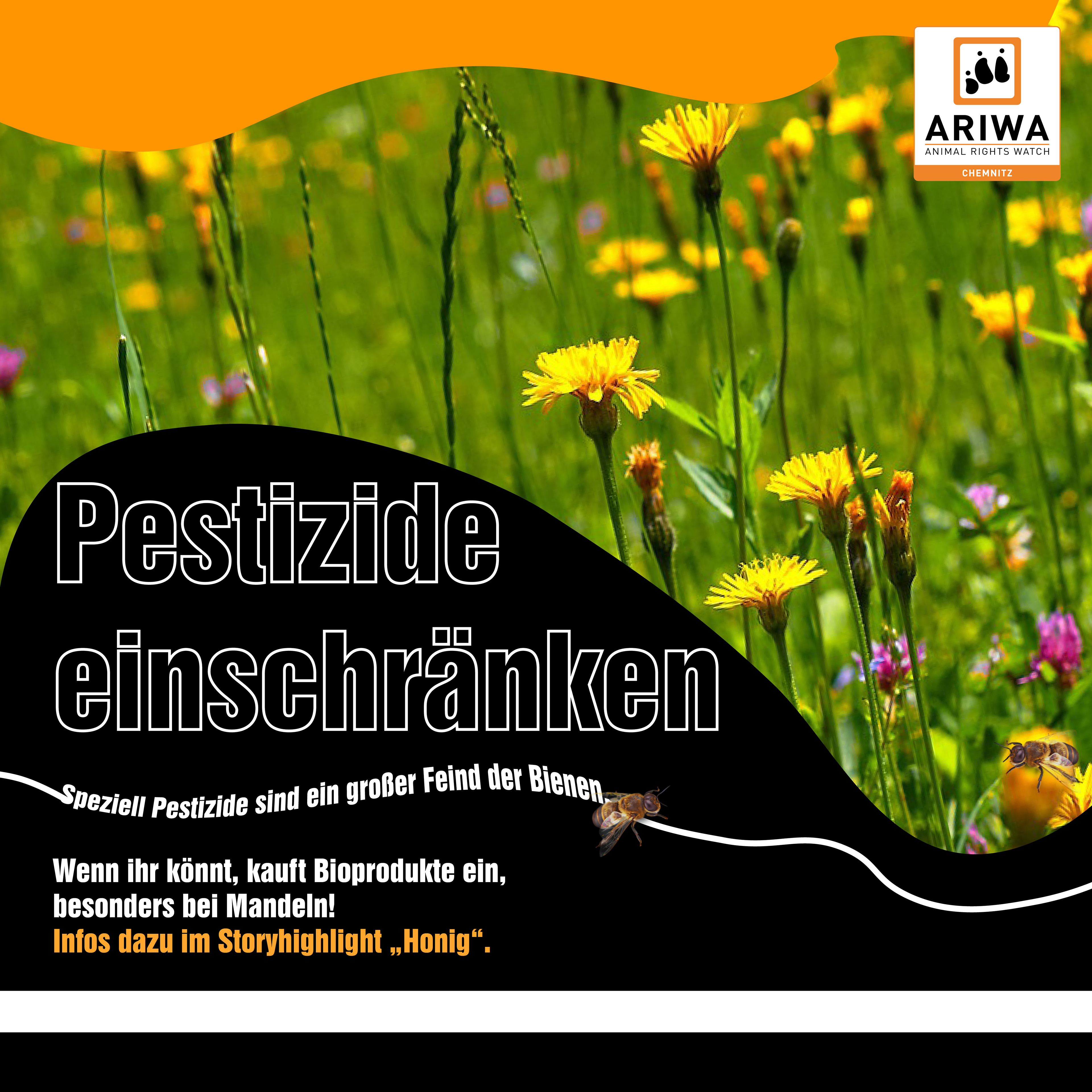 2105 ARIWA Chemnitz Weltbienentag