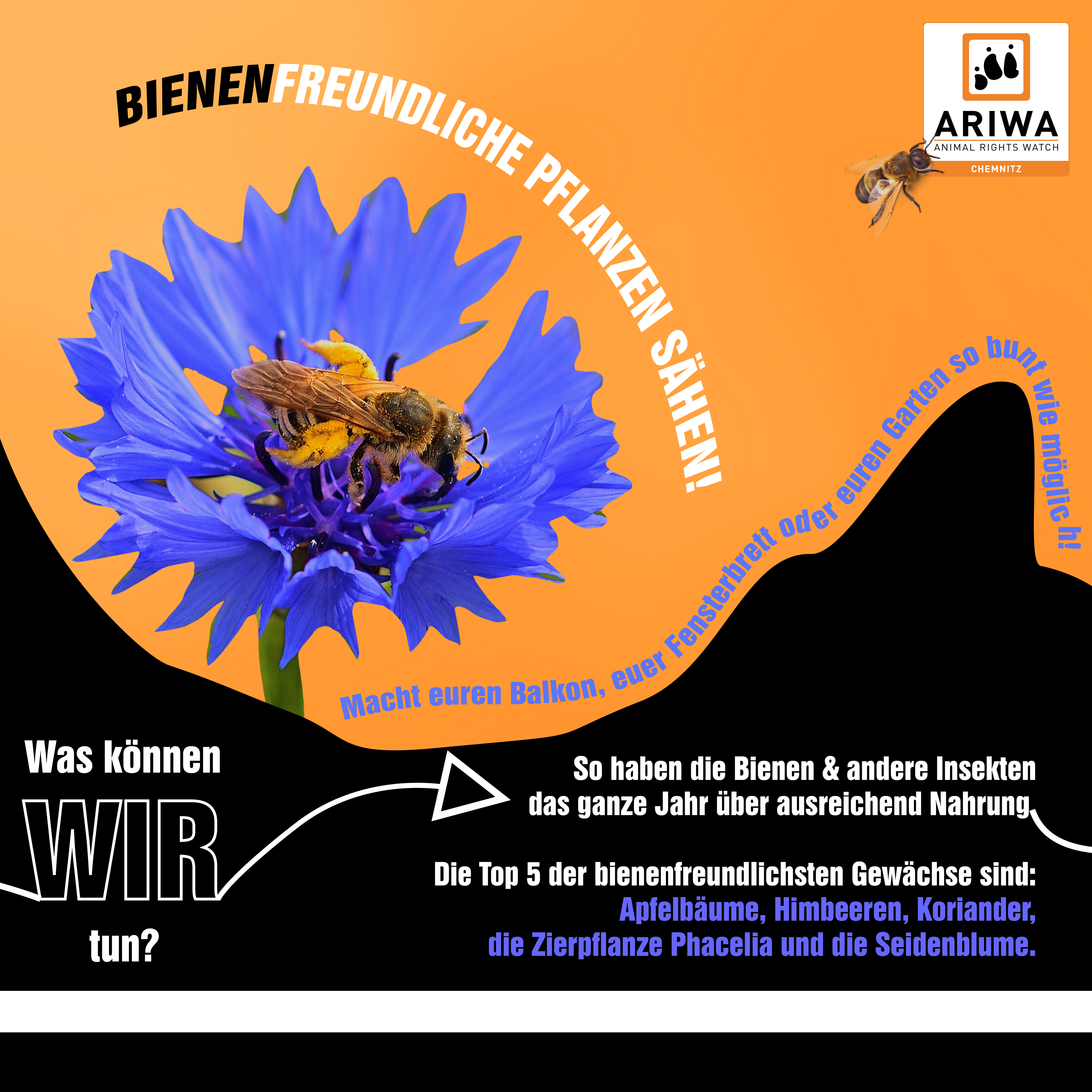 2105 ARIWA Chemnitz Weltbienentag