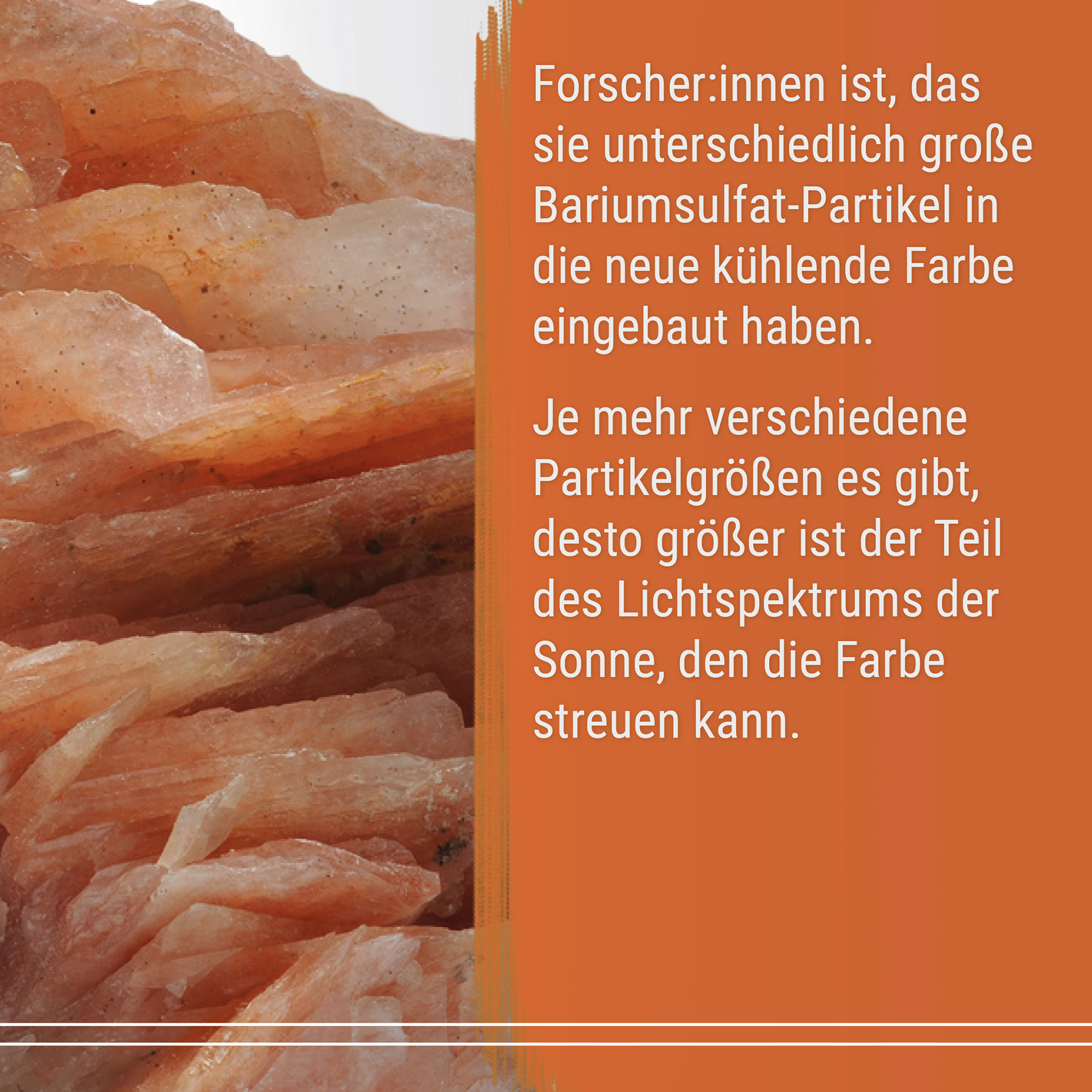 21-05 Good News Magazin Instagram