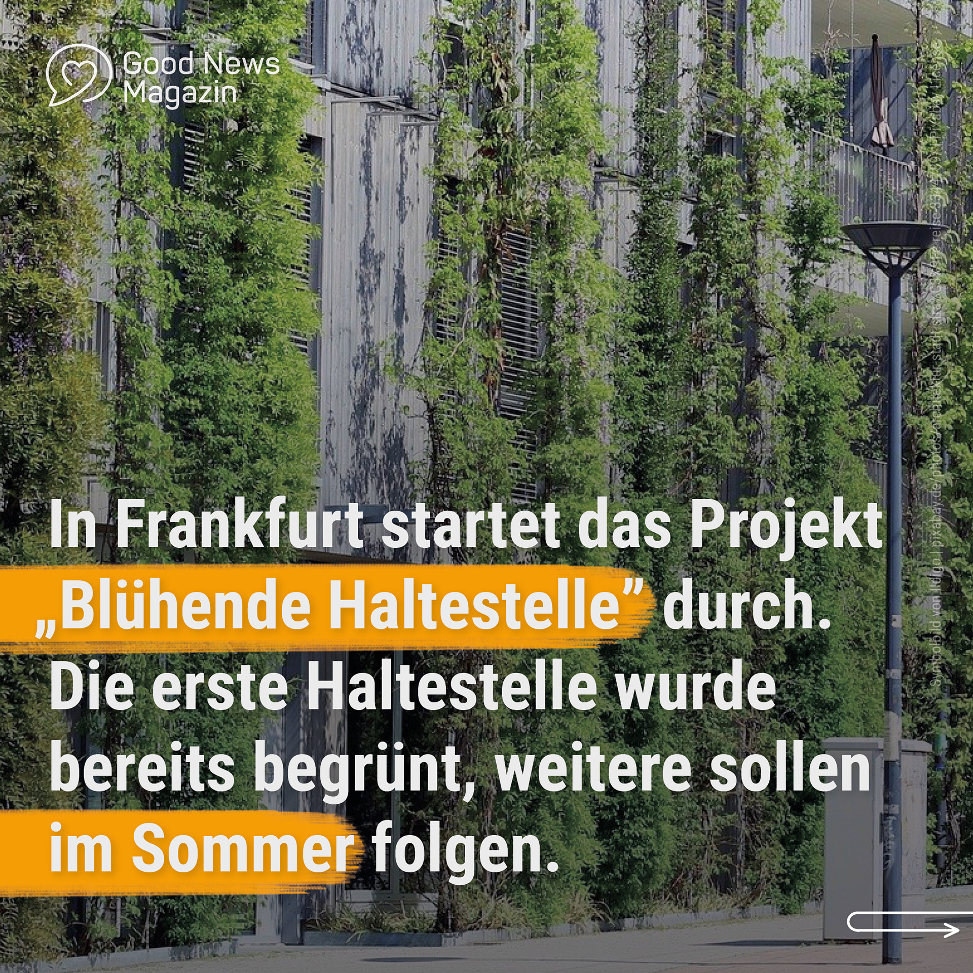 21-06 Good News Magazin Instagram