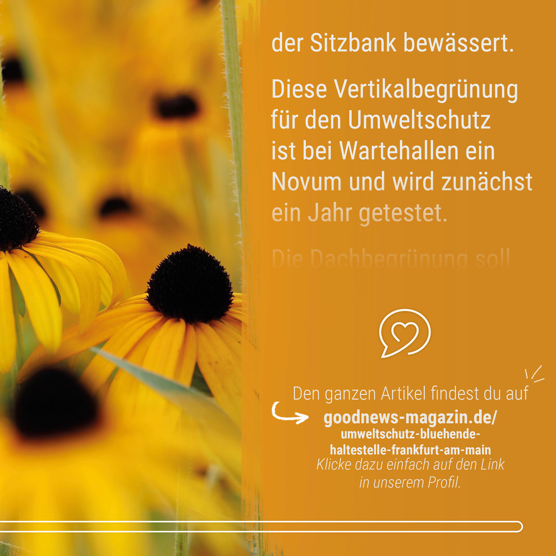 21-06 Good News Magazin Instagram