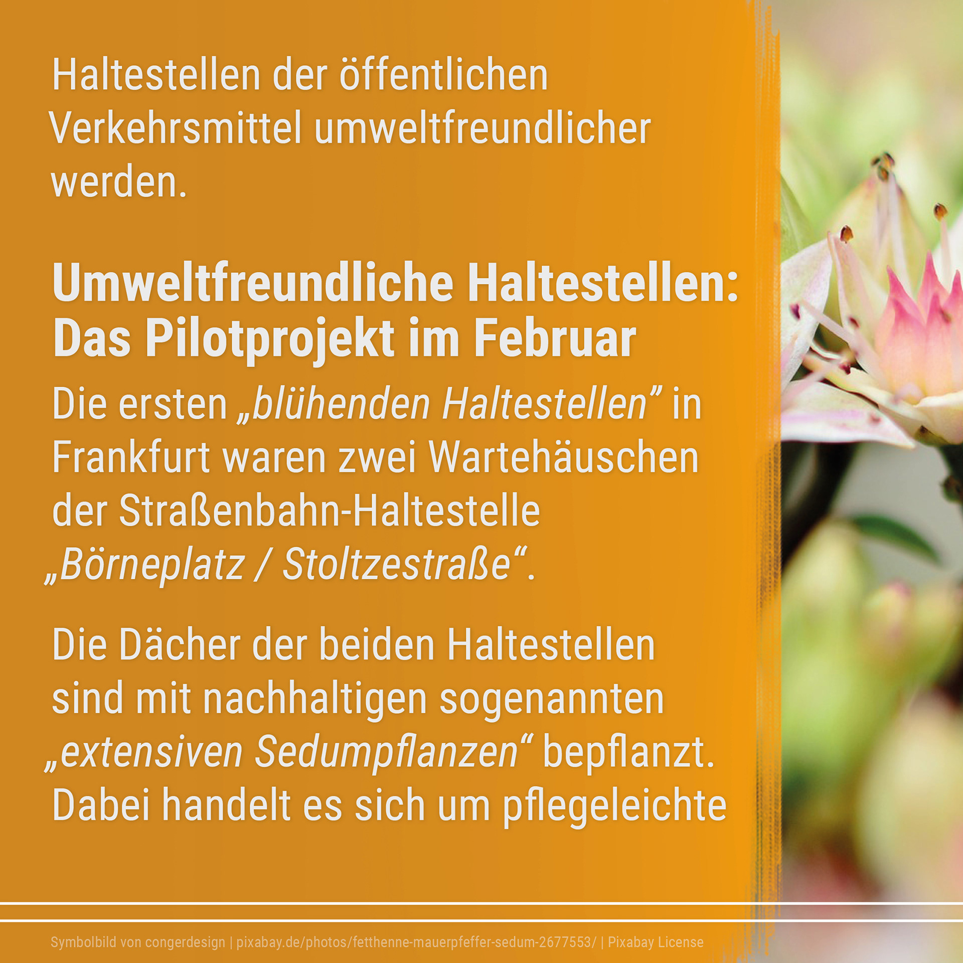 21-06 Good News Magazin Instagram