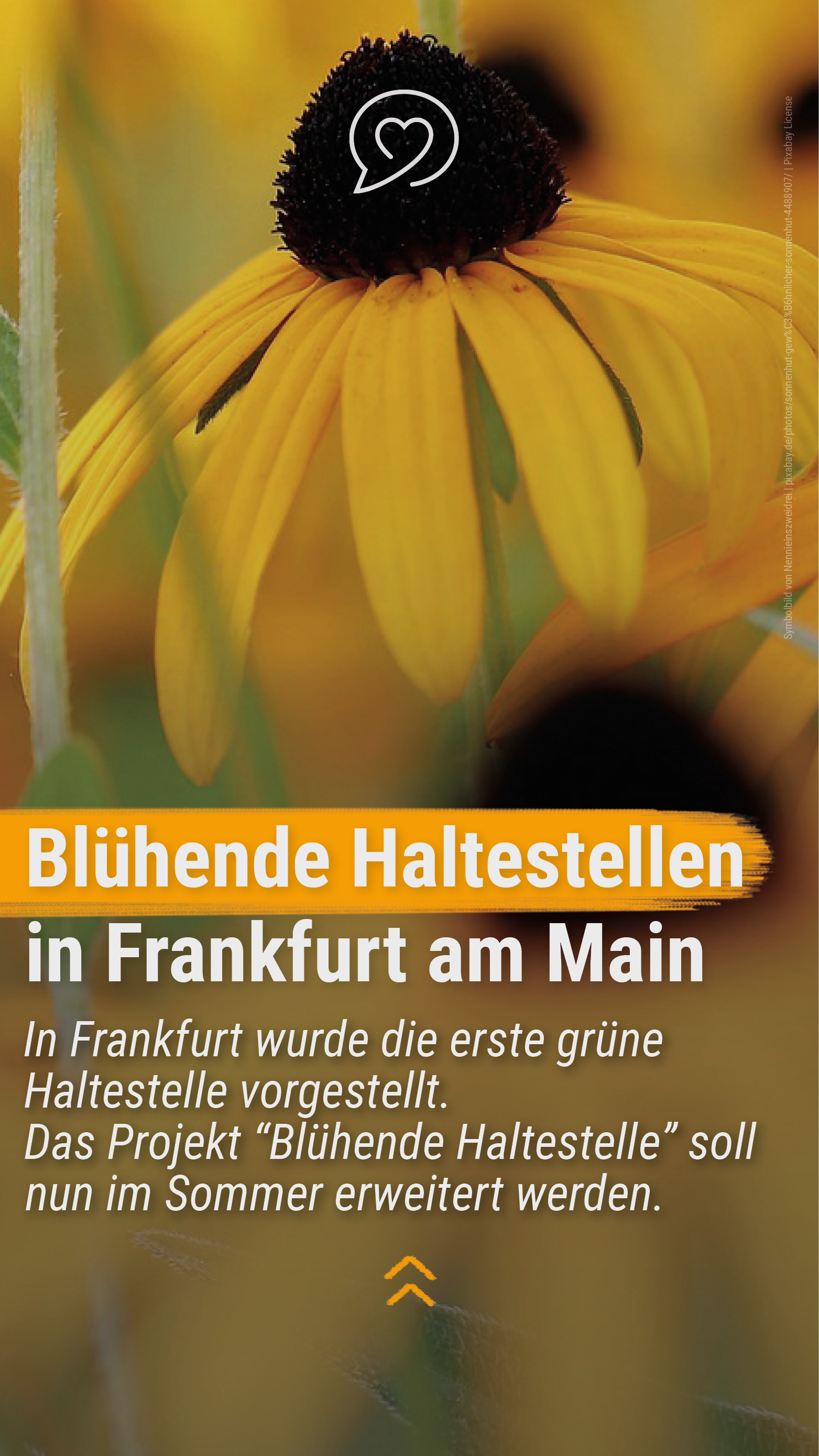 21-06 Good News Magazin Instagram Story
