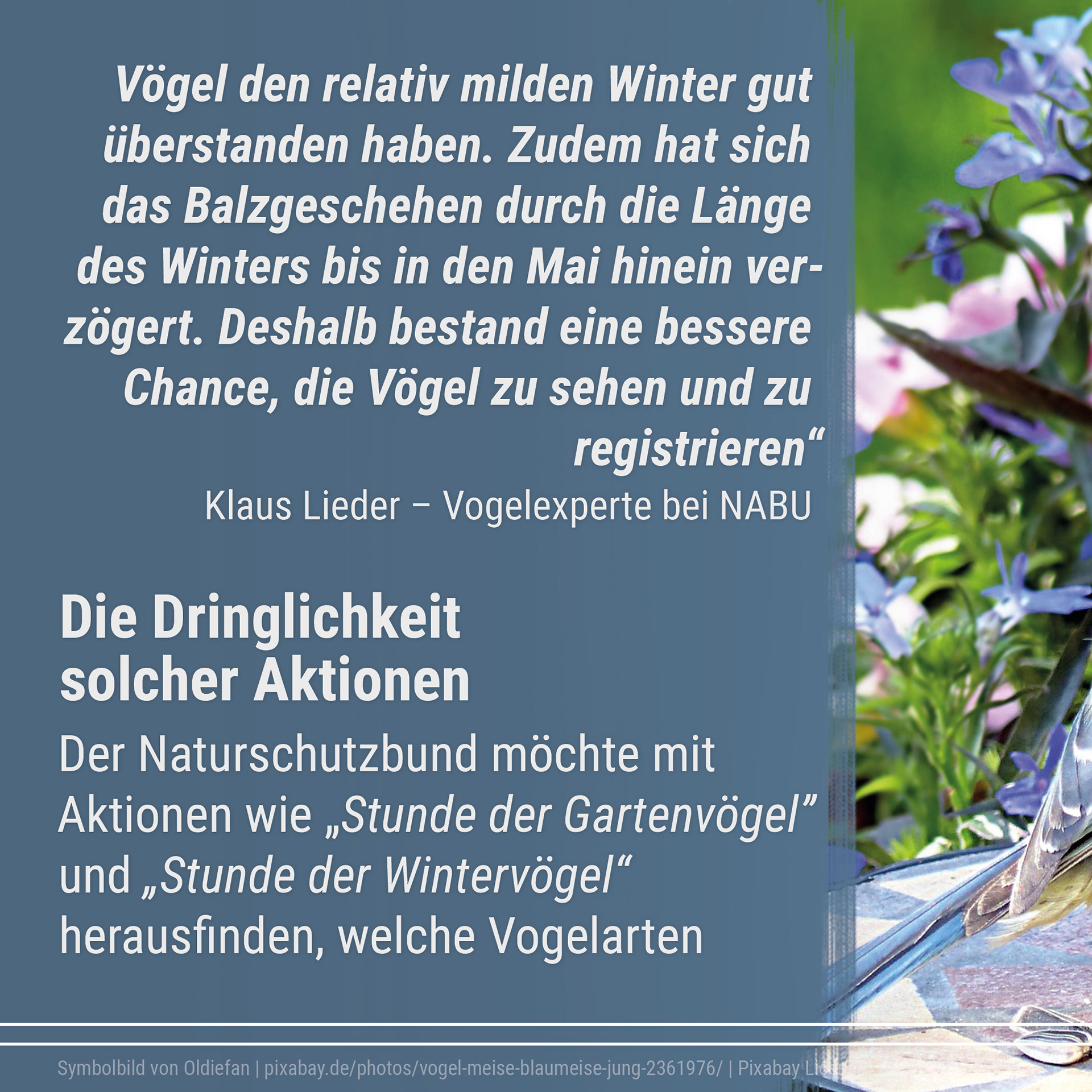 21-06 Good News Magazin Instagram