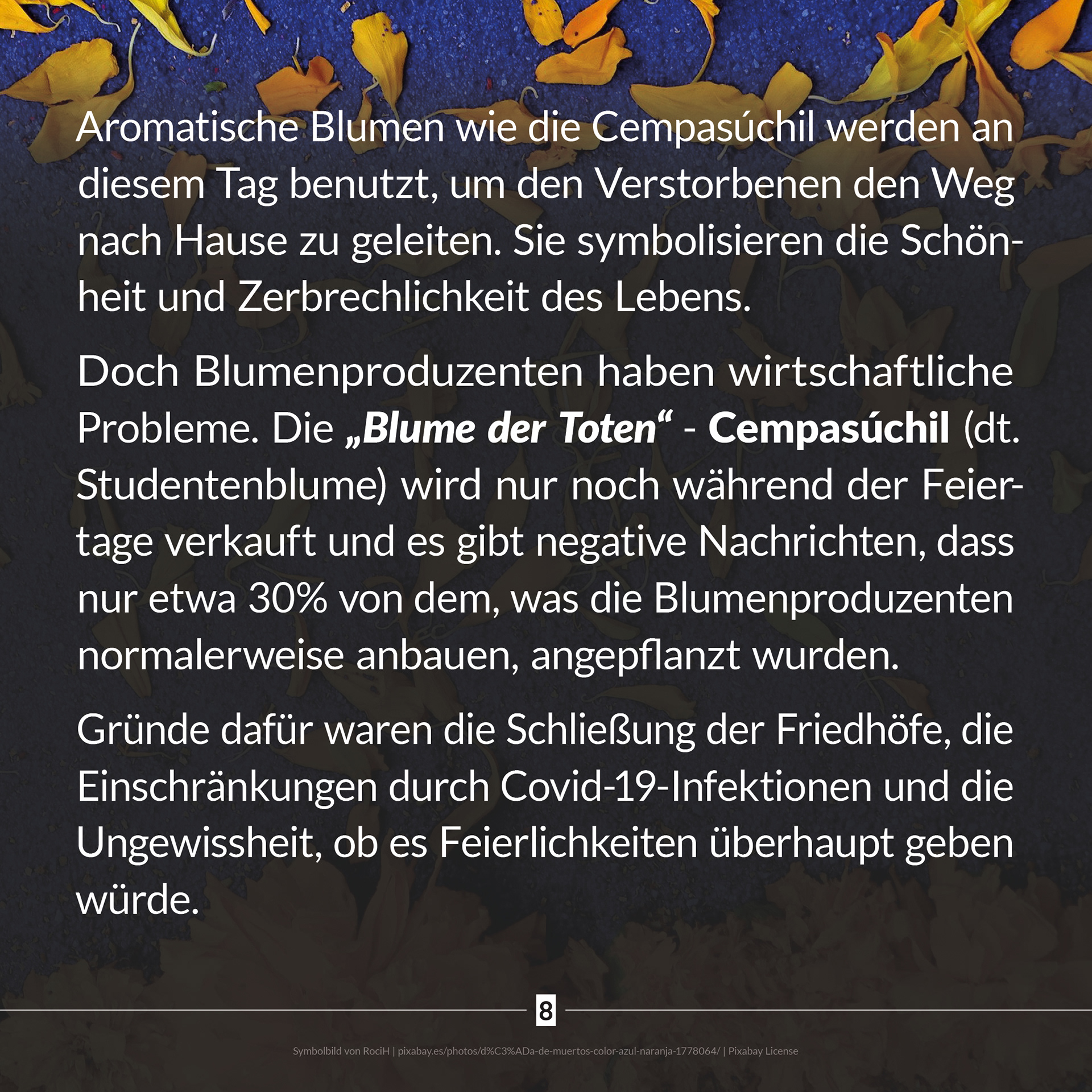 2011 light up! News Instagram