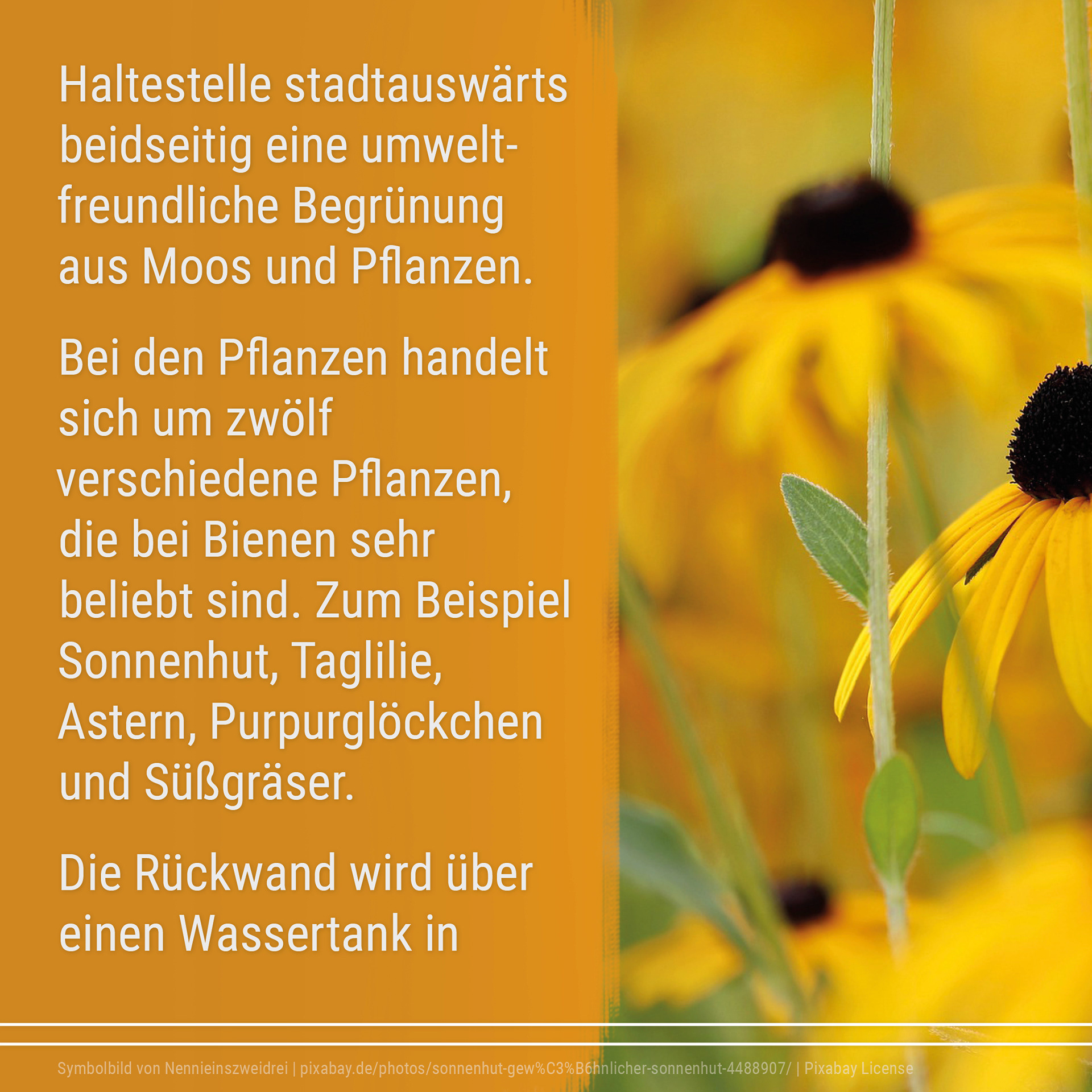 21-06 Good News Magazin Instagram
