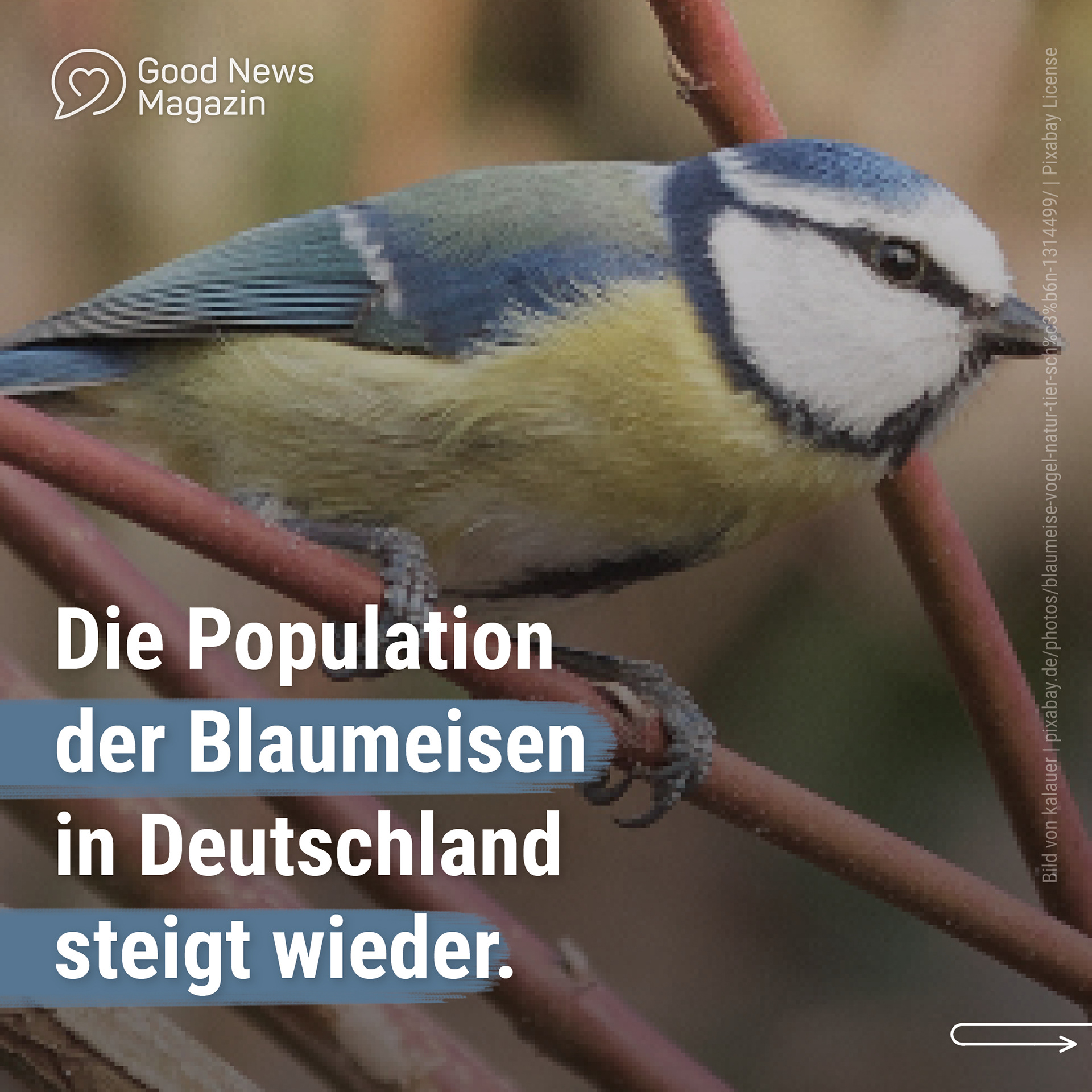 21-06 Good News Magazin Instagram