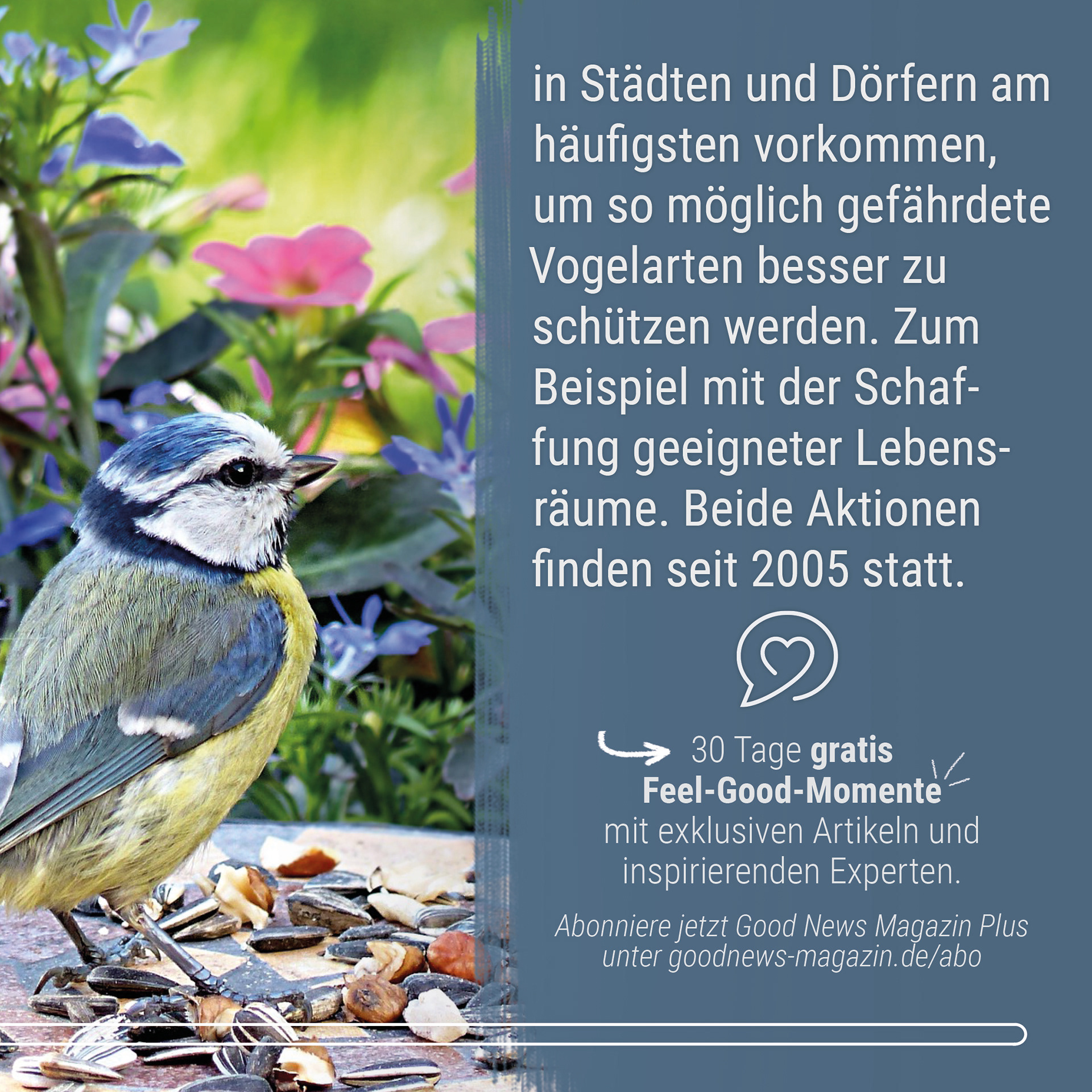 21-06 Good News Magazin Instagram