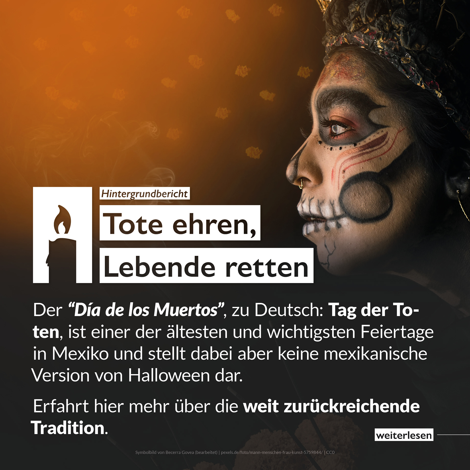 2011 light up! News Instagram