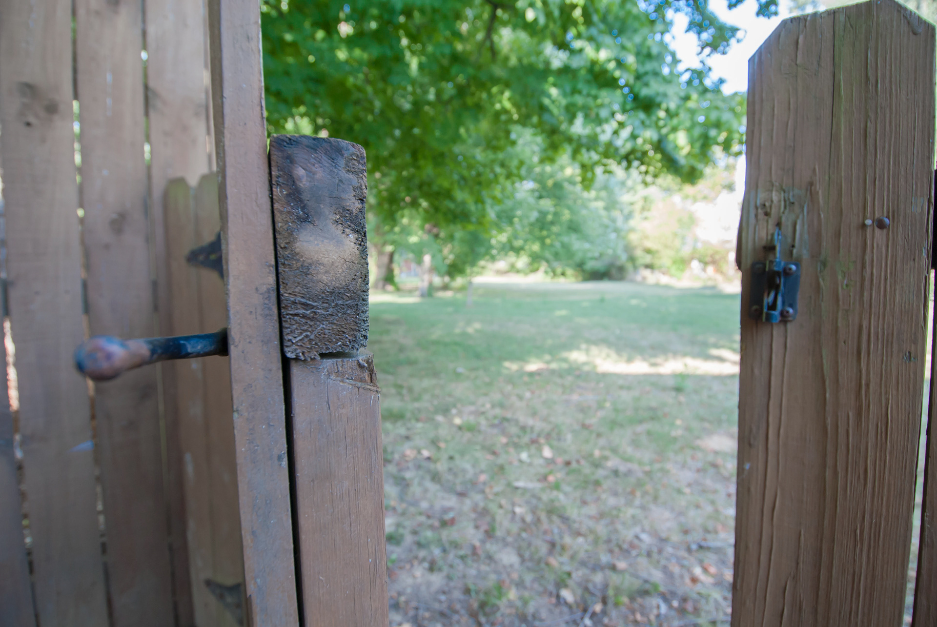 Etheredge Real Estate Photography 10113 Charleswood Road