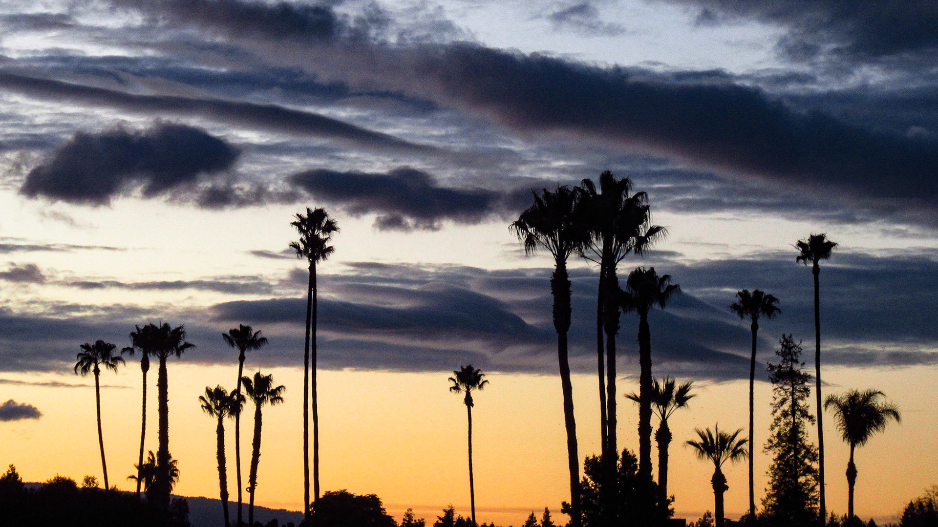 Sundown Silouette